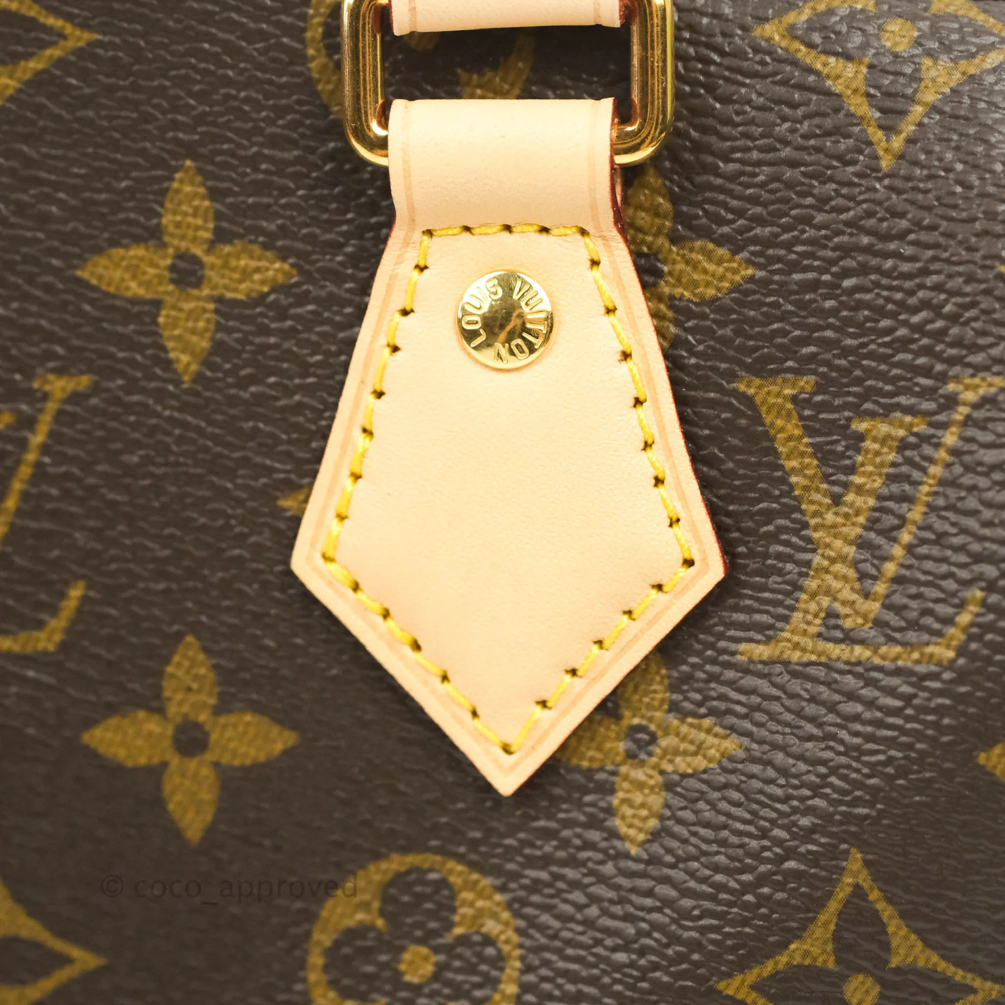 Louis Vuitton Speedy Bandoulire 20 Monogram