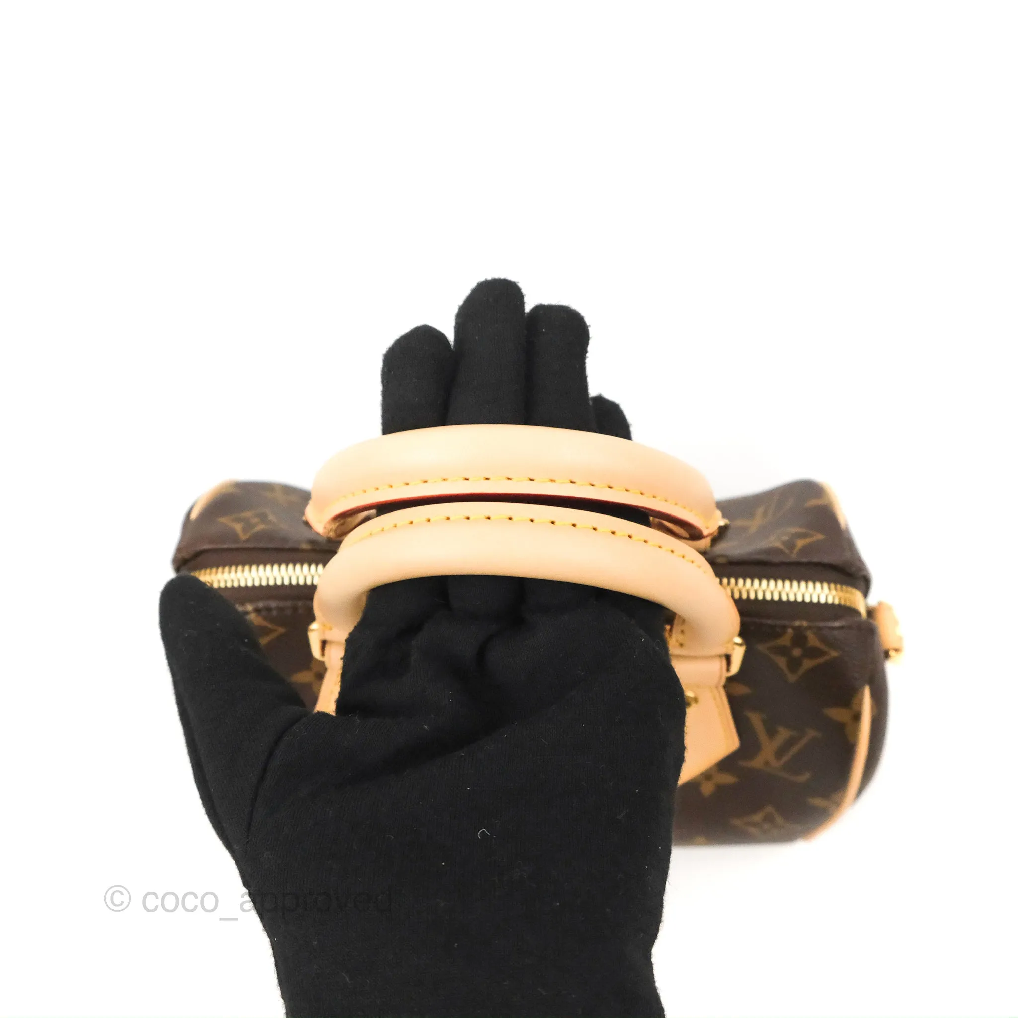 Louis Vuitton Speedy Bandoulire 20 Monogram