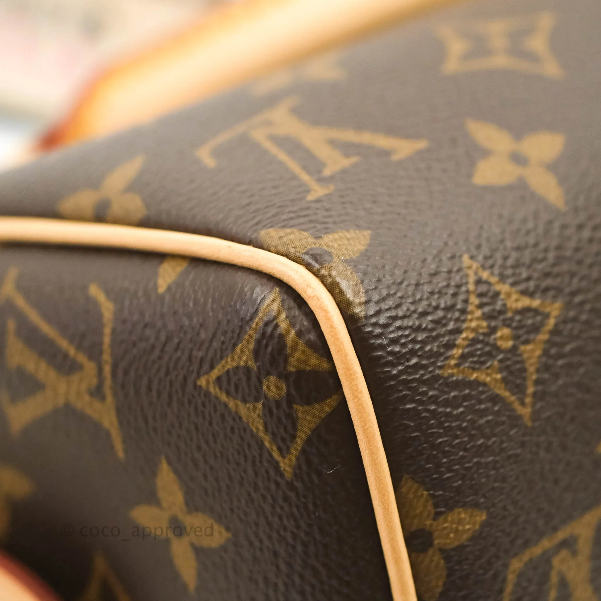 Louis Vuitton Speedy Bandoulire 20 Monogram