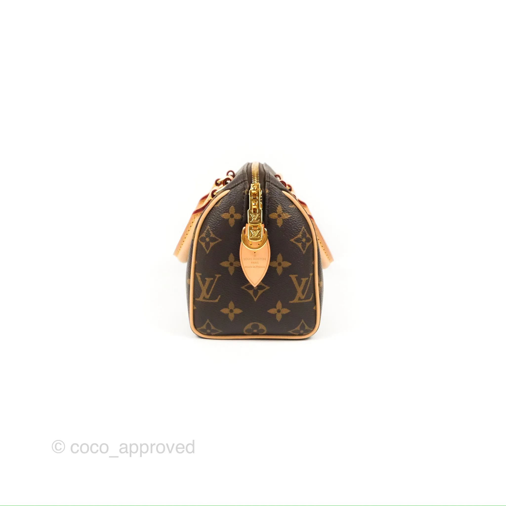 Louis Vuitton Speedy Bandoulire 20 Monogram