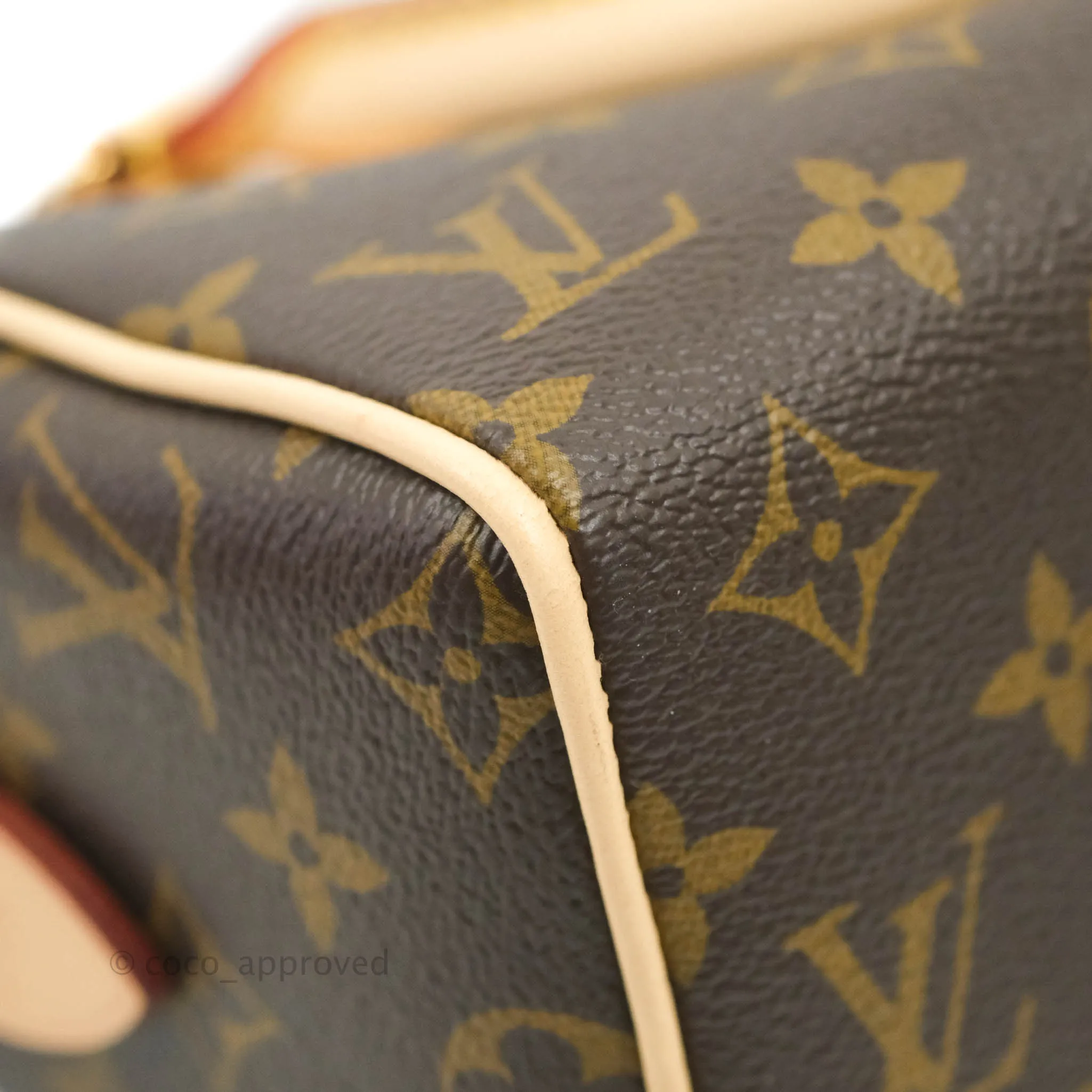 Louis Vuitton Speedy Bandoulire 20 Monogram