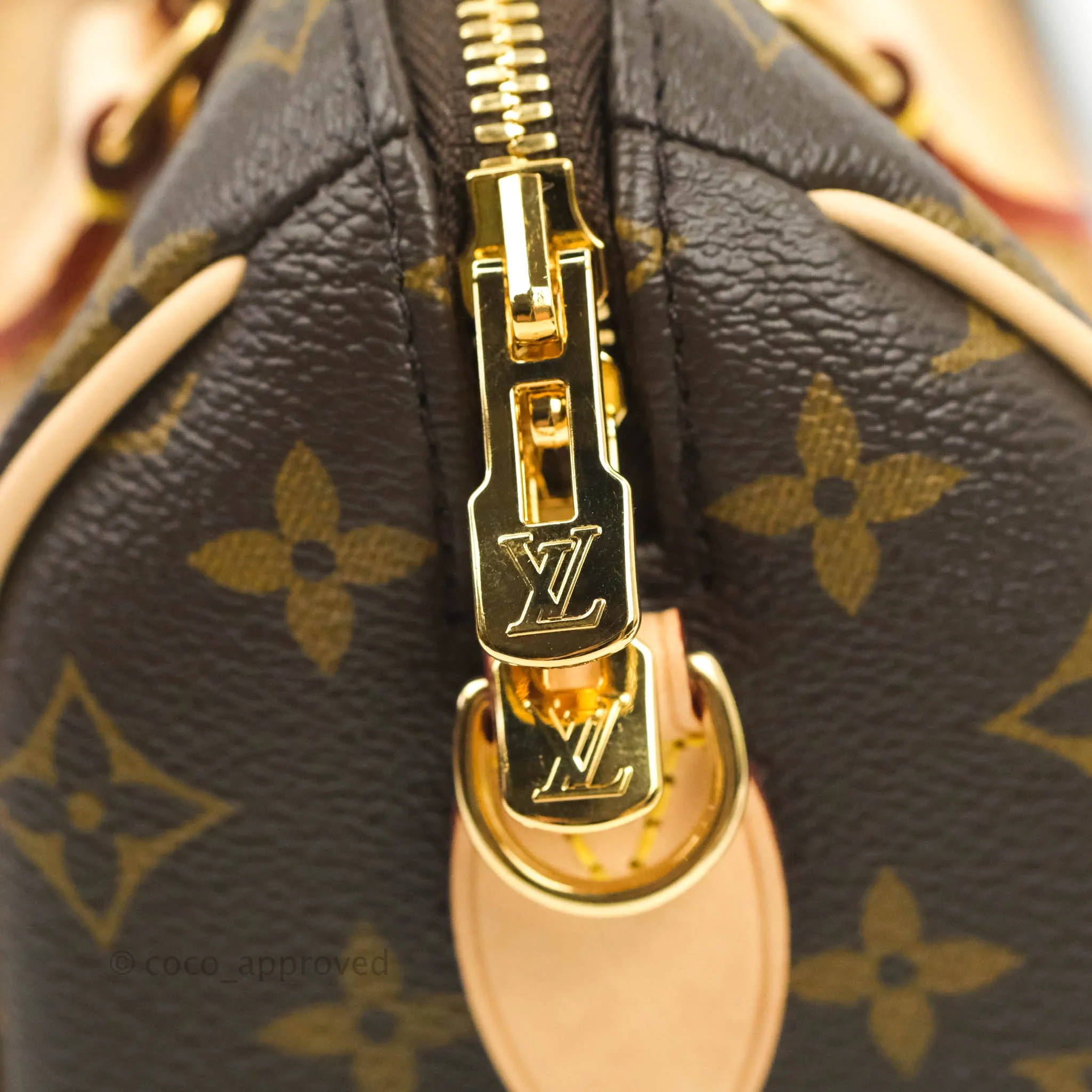 Louis Vuitton Speedy Bandoulire 20 Monogram
