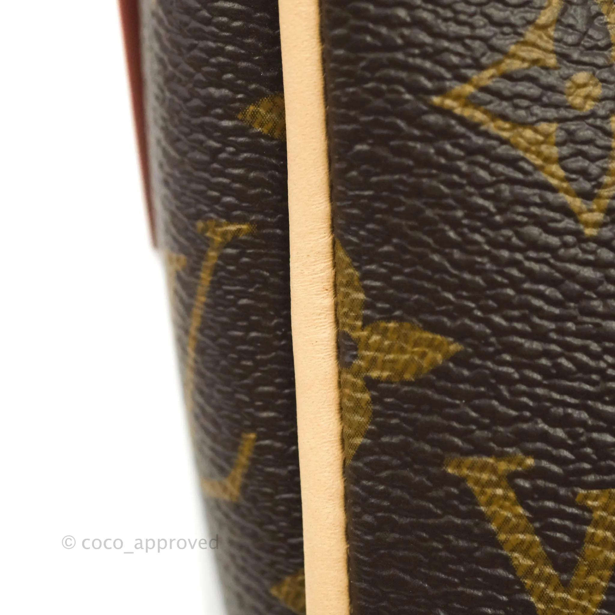 Louis Vuitton Speedy Bandoulire 20 Monogram