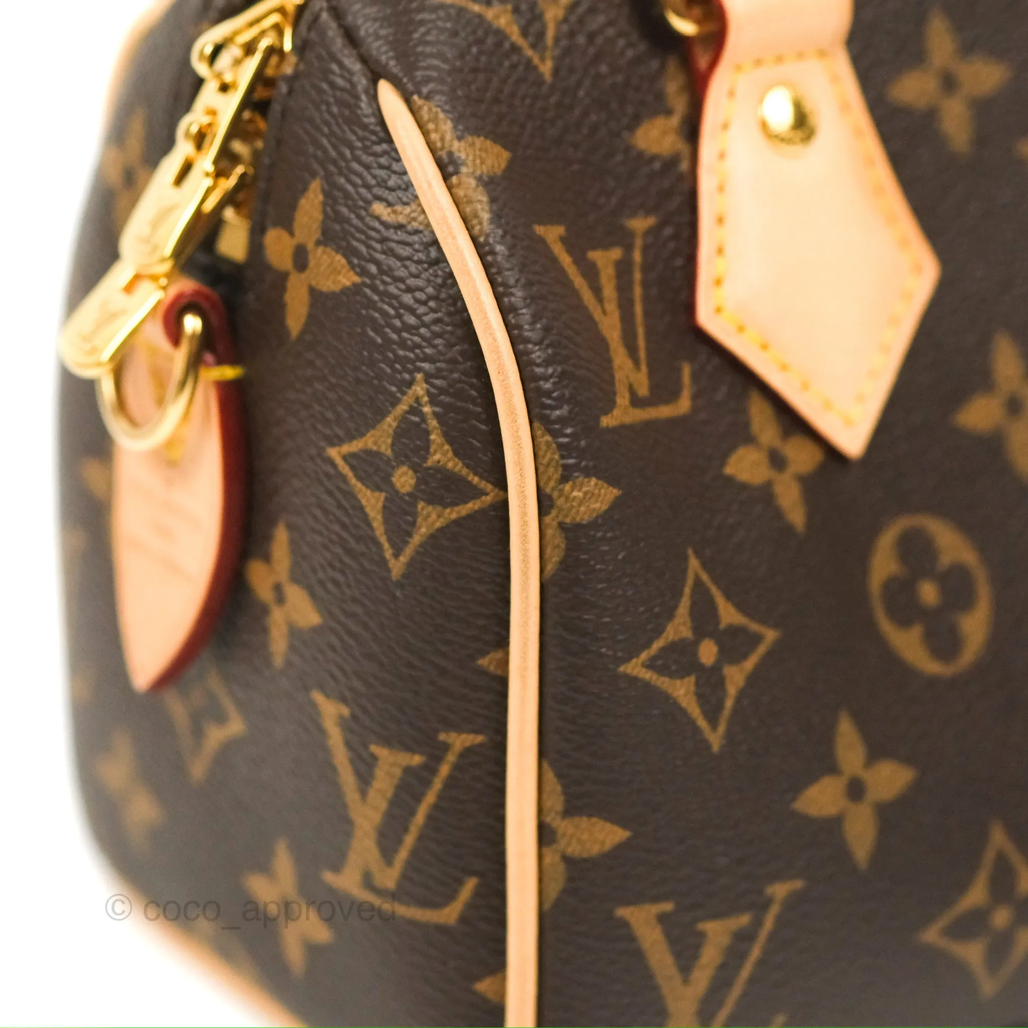 Louis Vuitton Speedy Bandoulire 20 Monogram