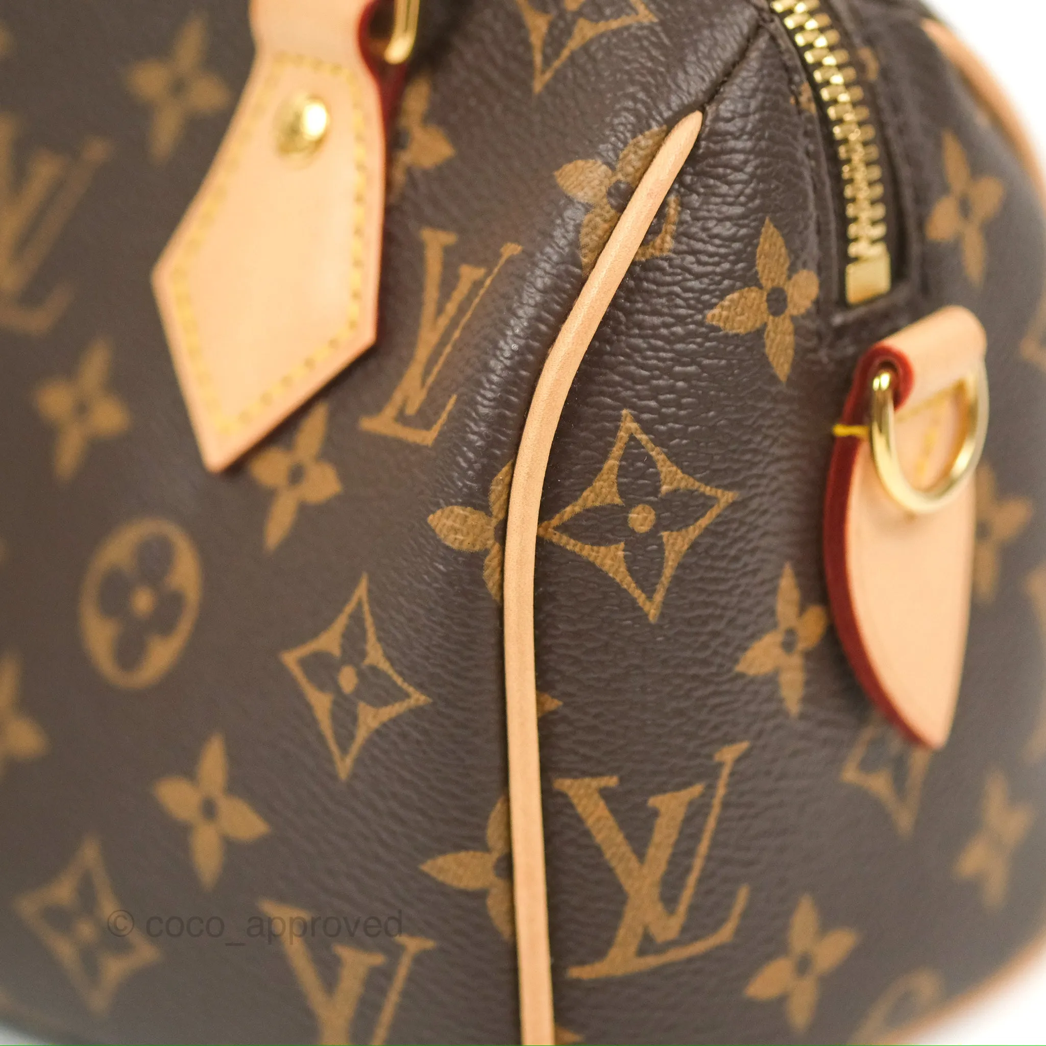 Louis Vuitton Speedy Bandoulire 20 Monogram