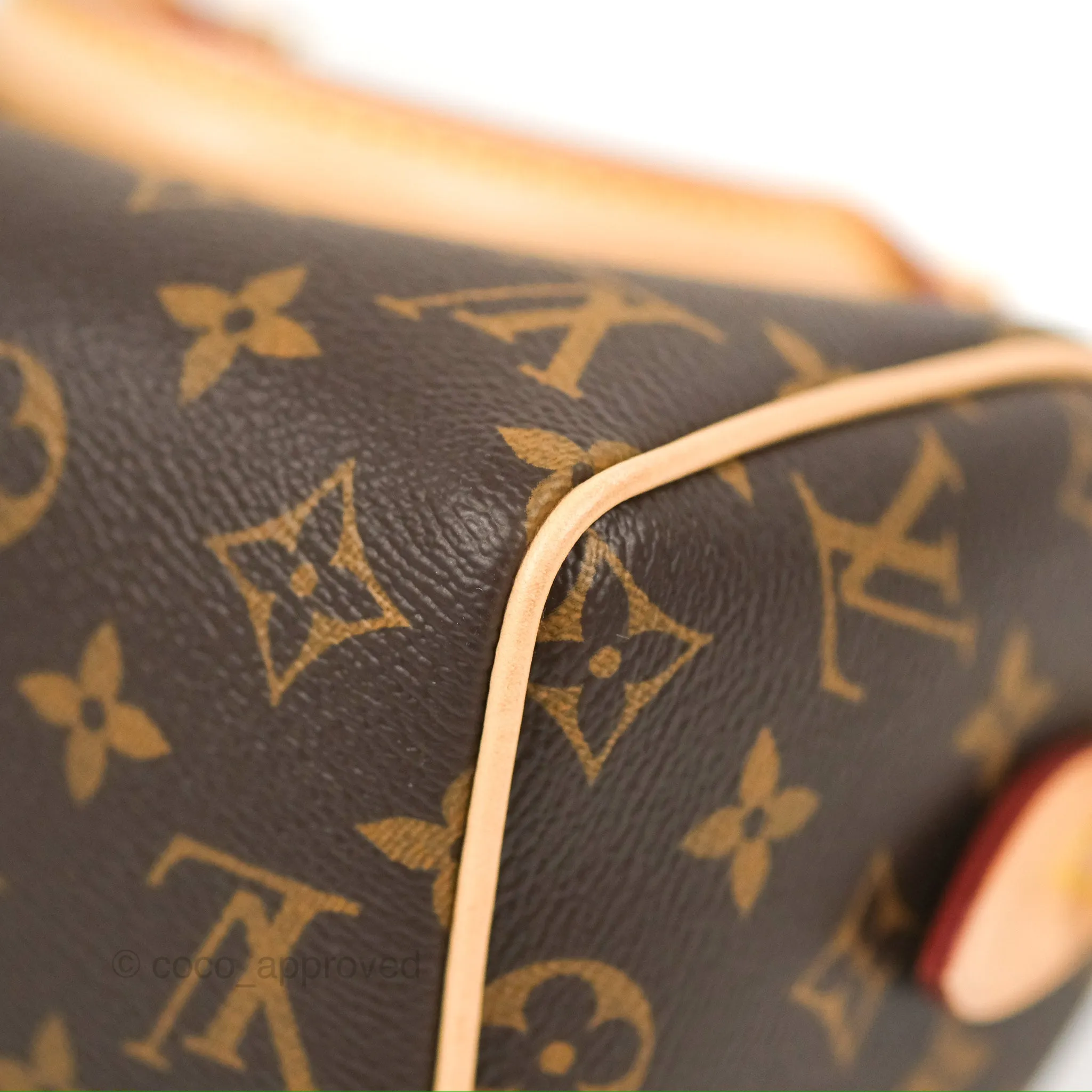 Louis Vuitton Speedy Bandoulire 20 Monogram