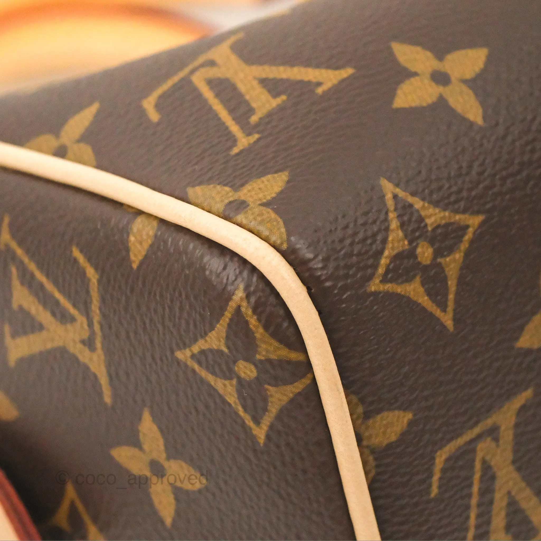 Louis Vuitton Speedy Bandoulire 20 Monogram