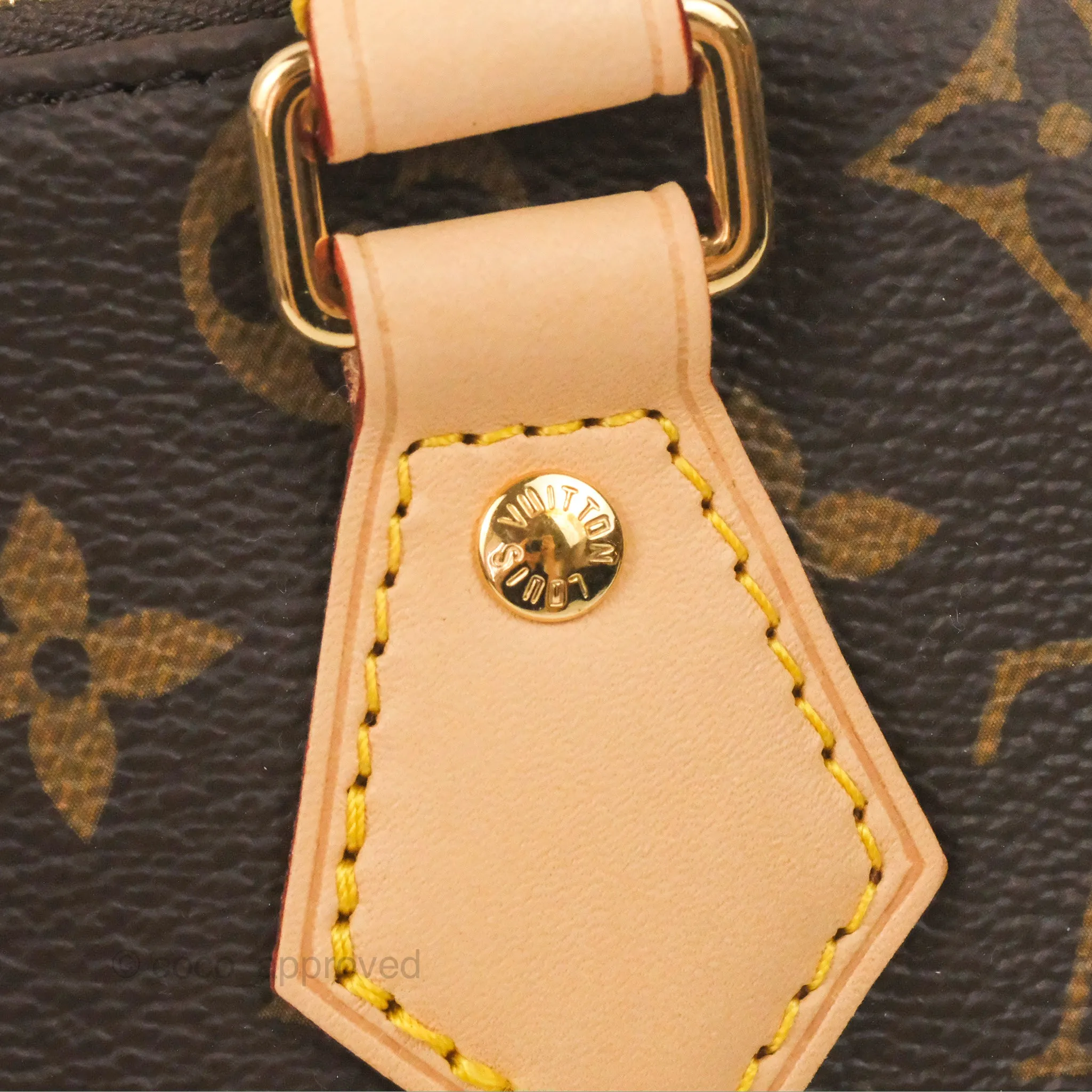 Louis Vuitton Speedy Bandoulire 20 Monogram