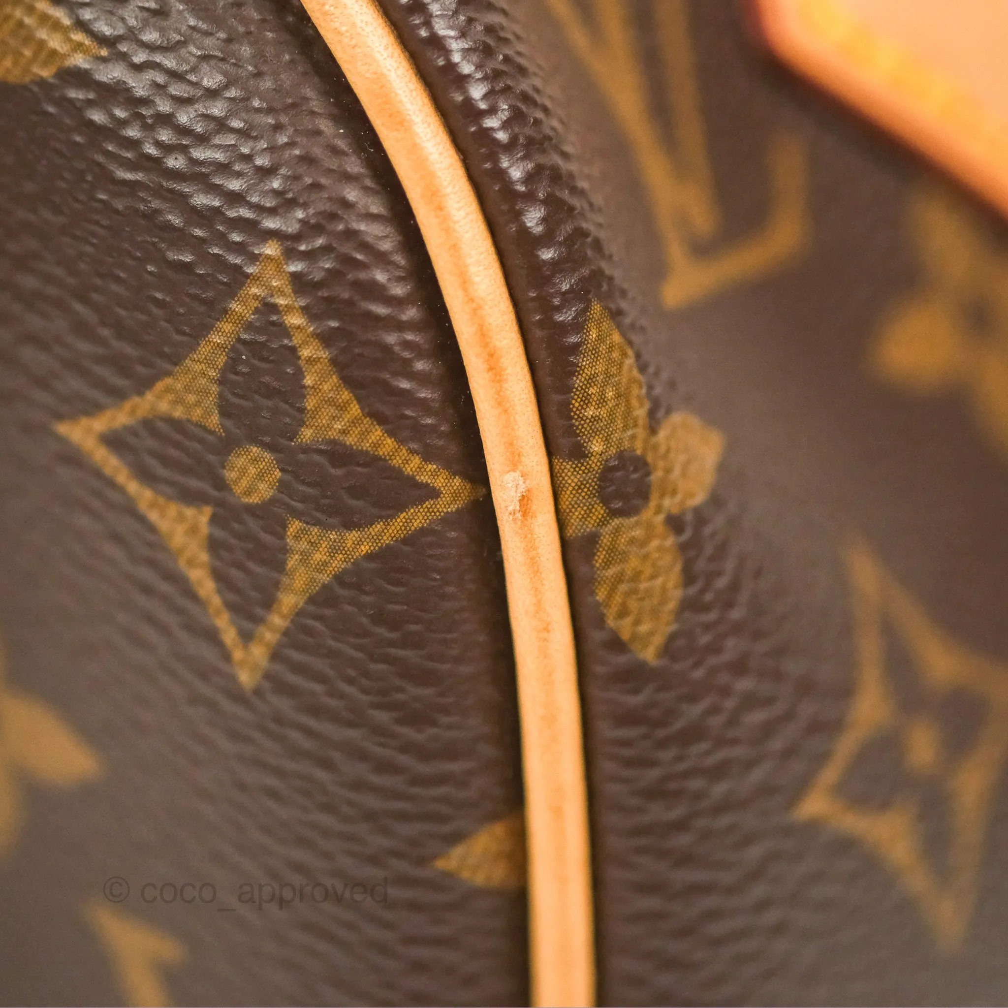 Louis Vuitton Speedy Bandoulire 20 Monogram