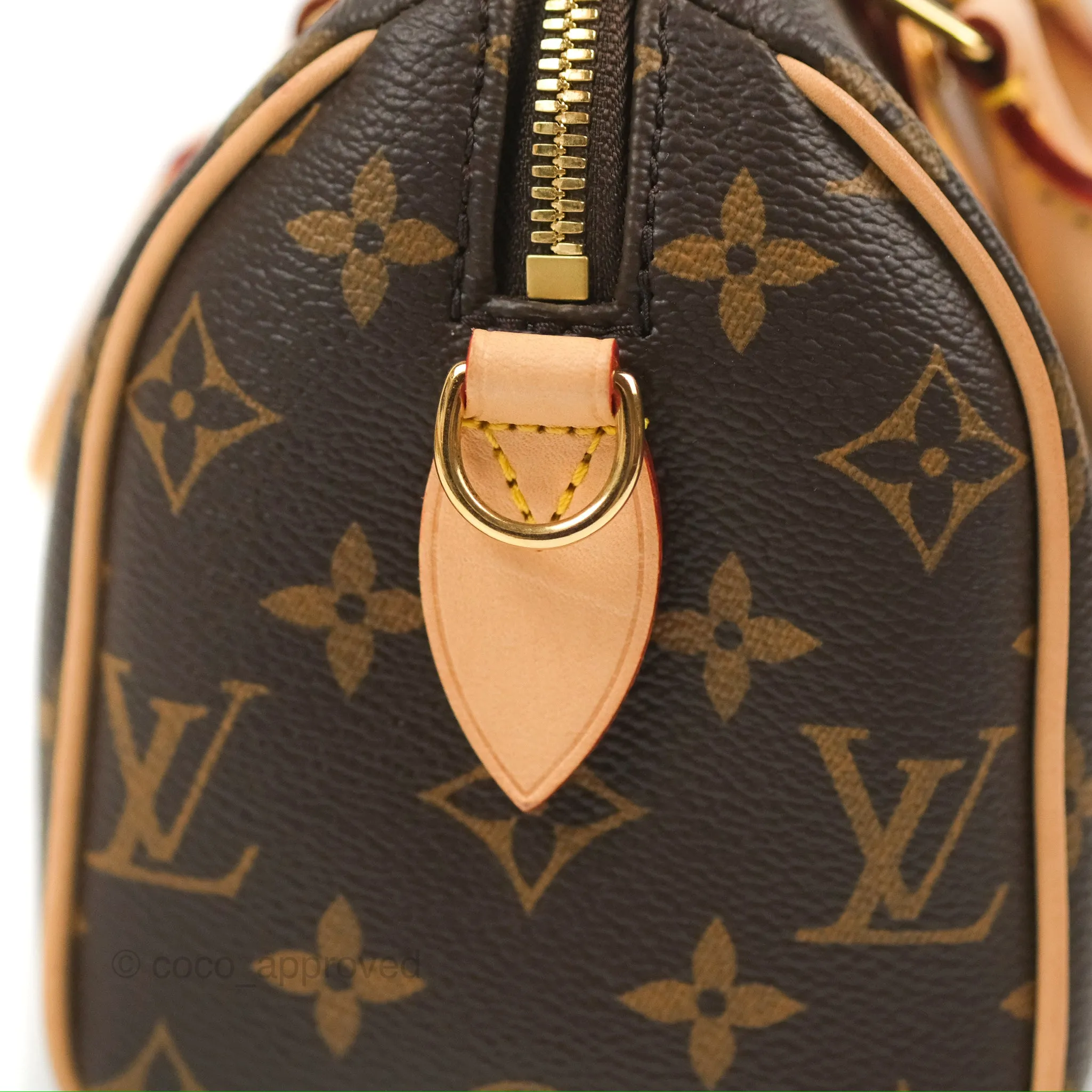 Louis Vuitton Speedy Bandoulire 20 Monogram