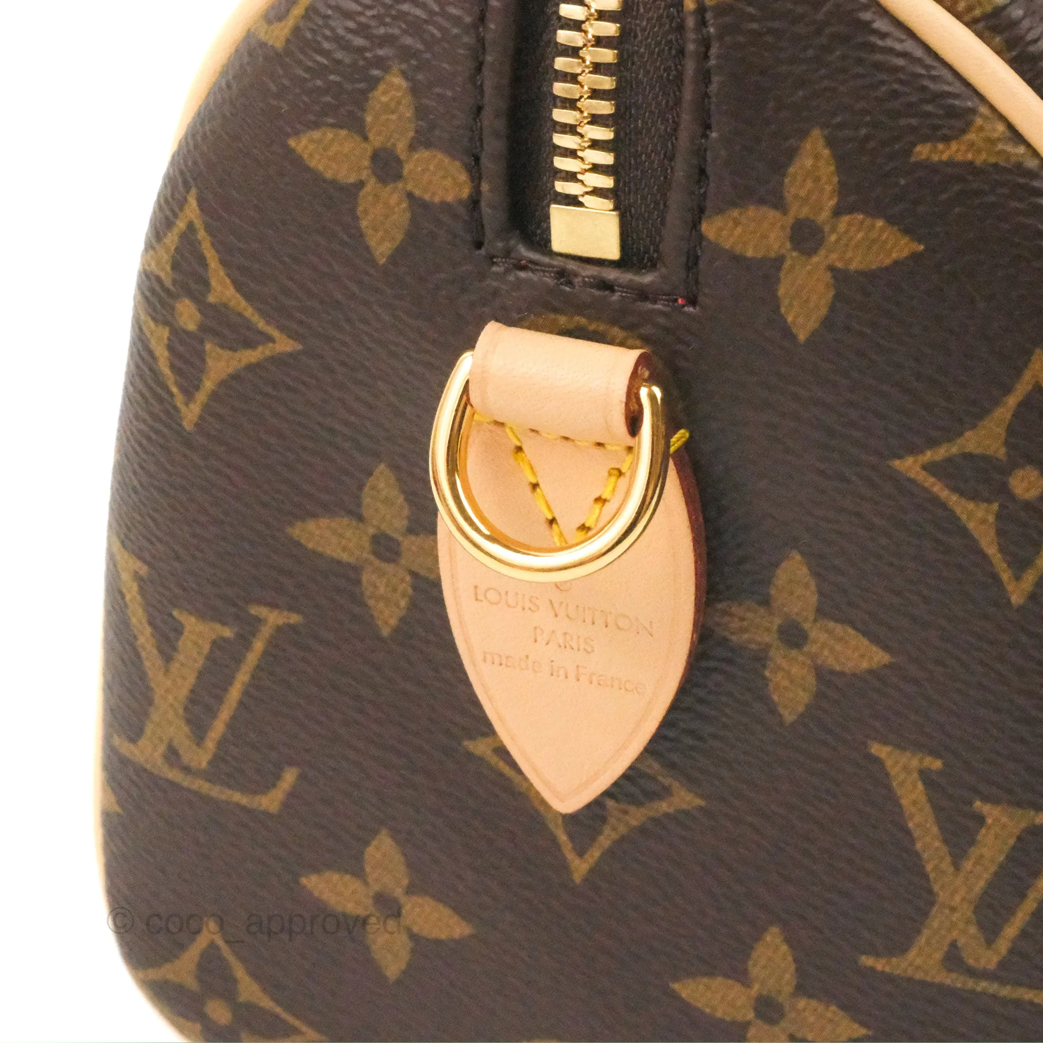 Louis Vuitton Speedy Bandoulire 20 Monogram