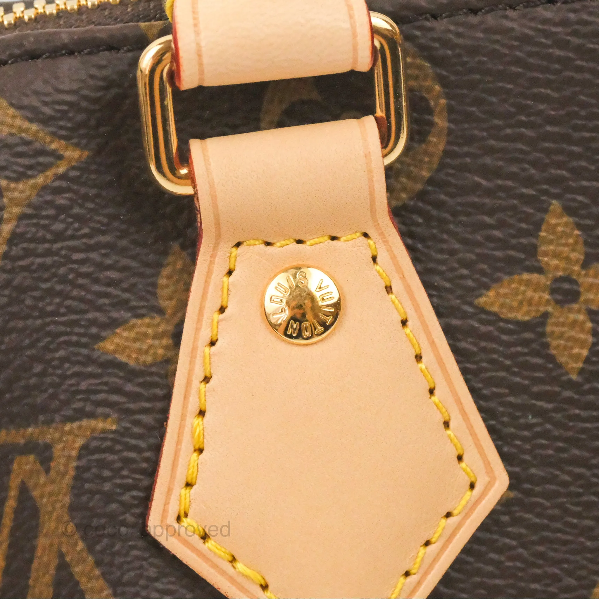 Louis Vuitton Speedy Bandoulire 20 Monogram