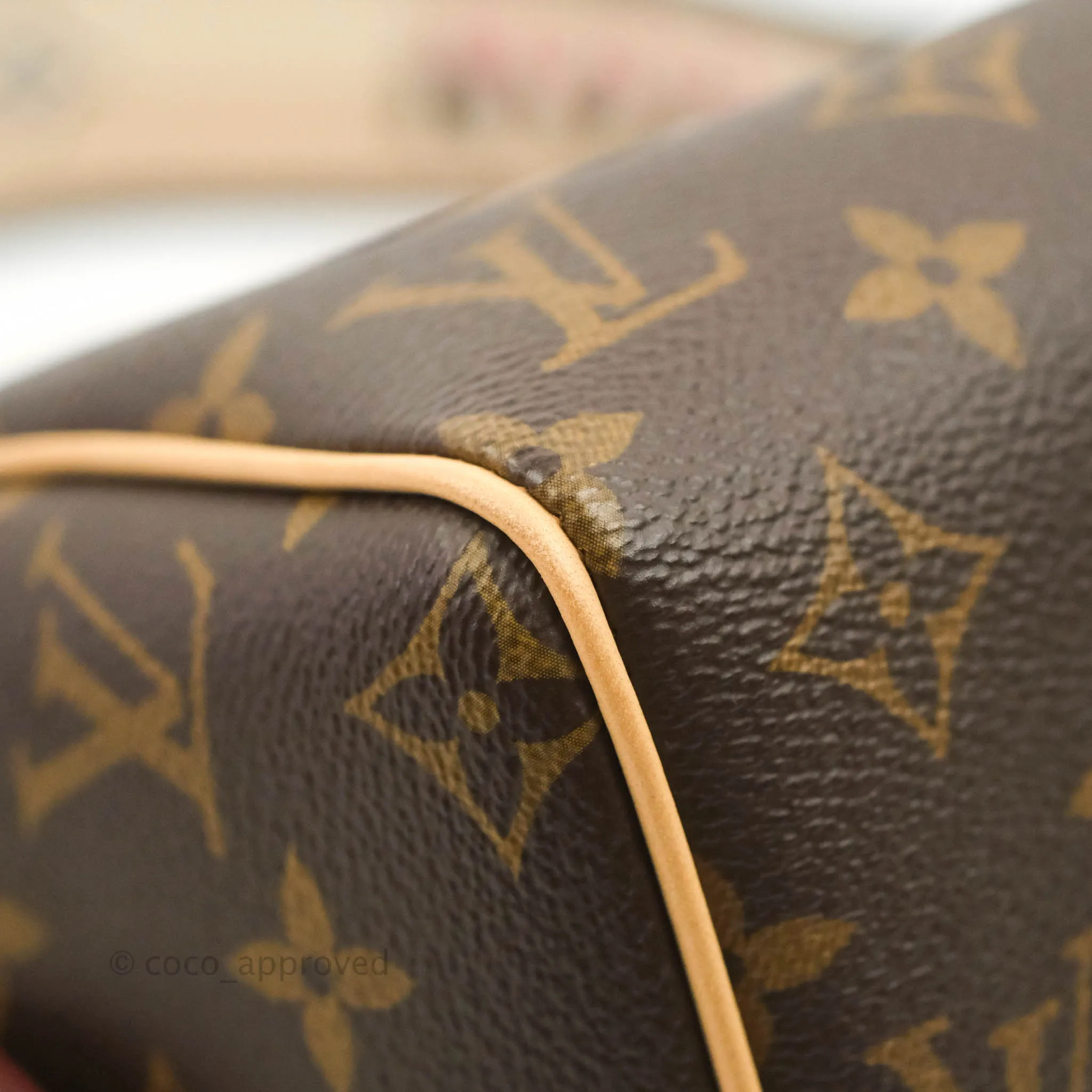 Louis Vuitton Speedy Bandoulire 20 Monogram