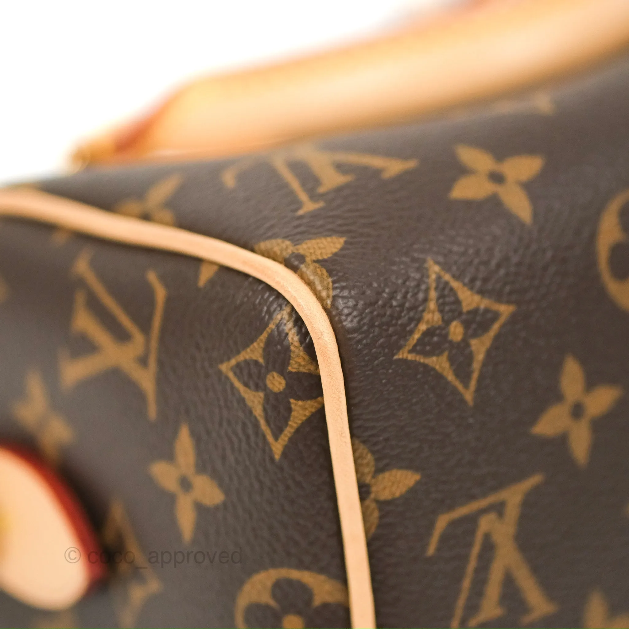 Louis Vuitton Speedy Bandoulire 20 Monogram