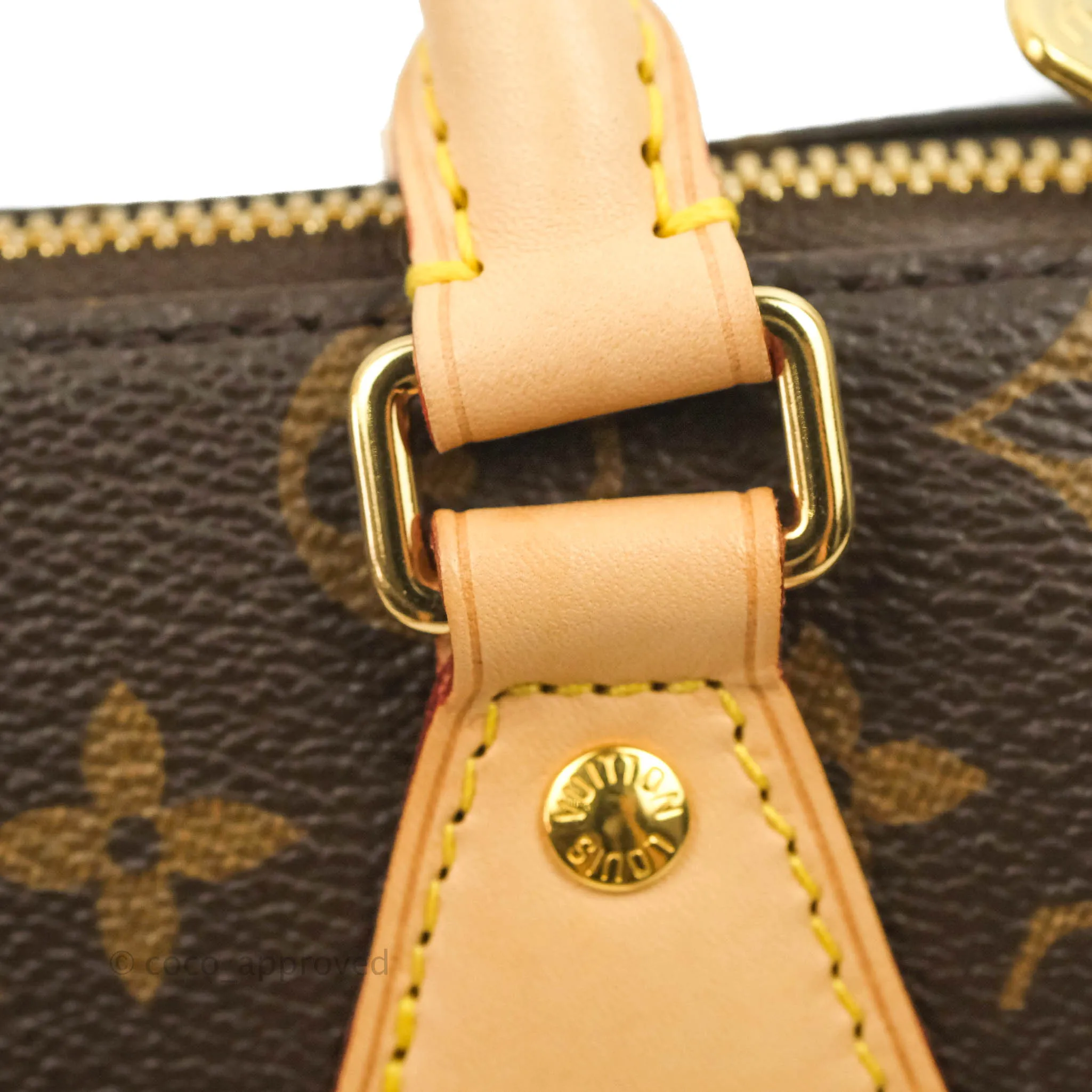 Louis Vuitton Speedy Bandoulire 20 Monogram
