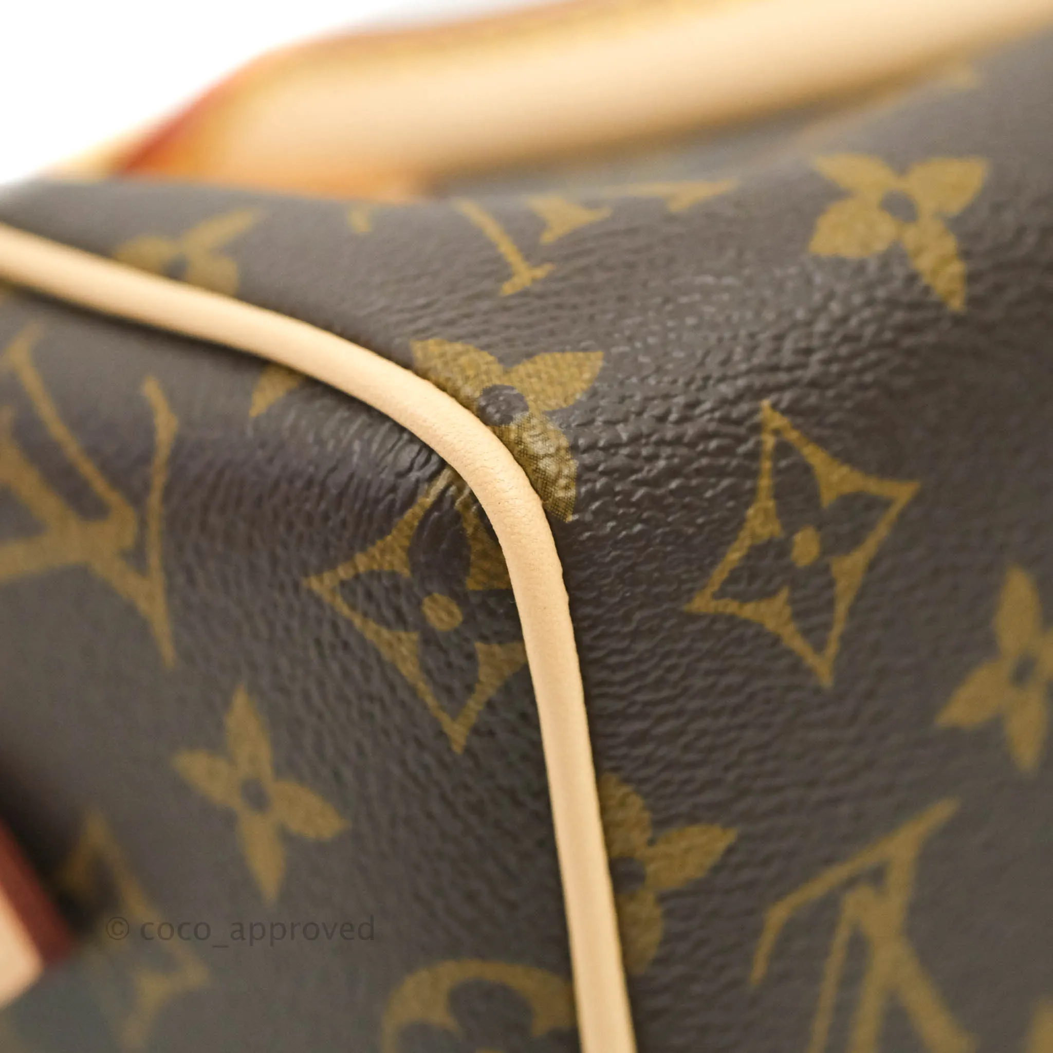 Louis Vuitton Speedy Bandoulire 20 Monogram
