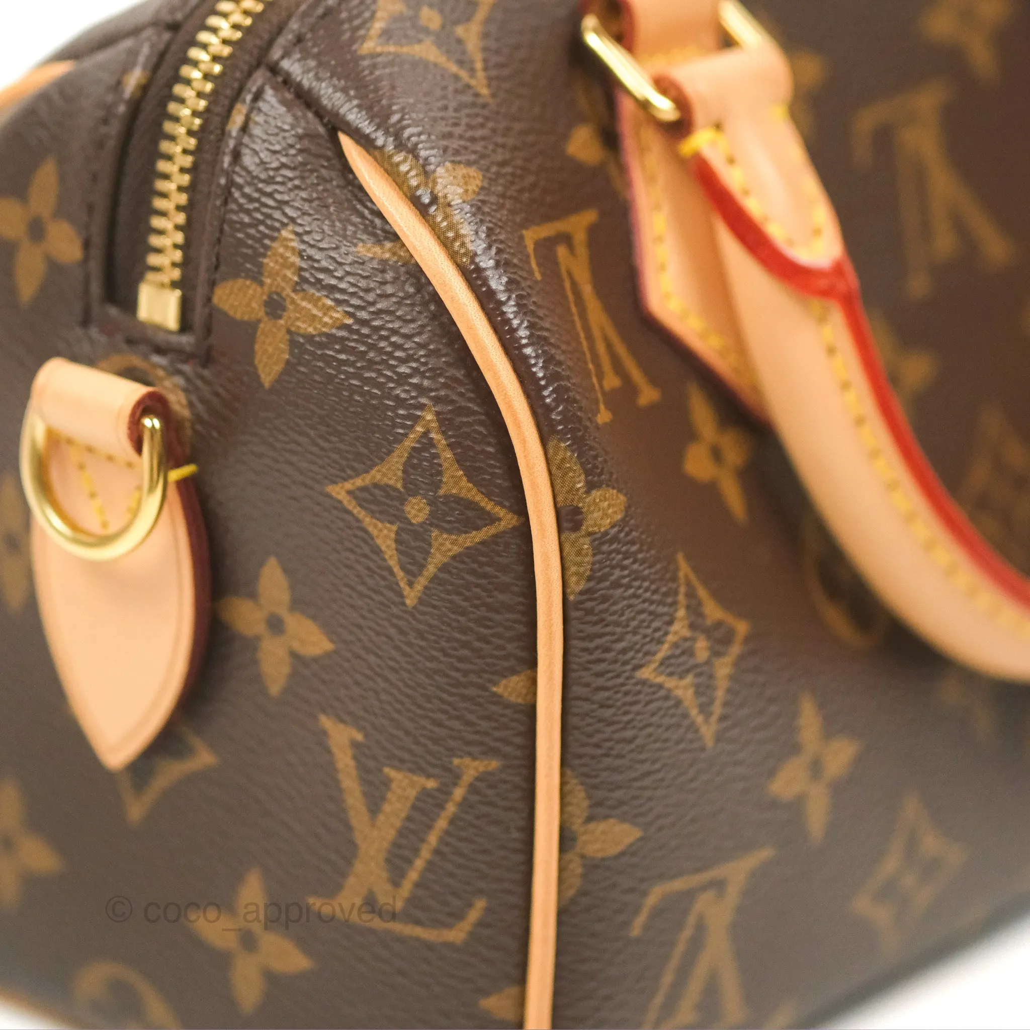 Louis Vuitton Speedy Bandoulire 20 Monogram