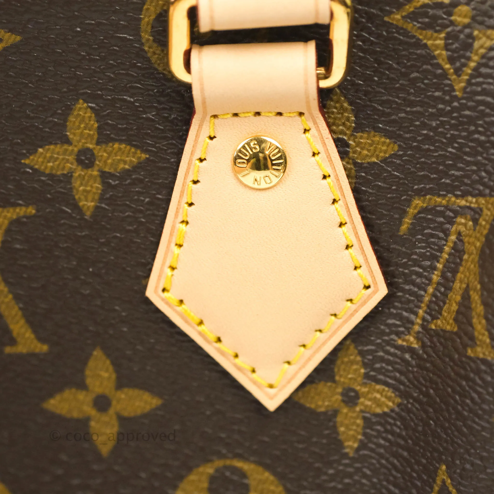 Louis Vuitton Speedy Bandoulire 20 Monogram