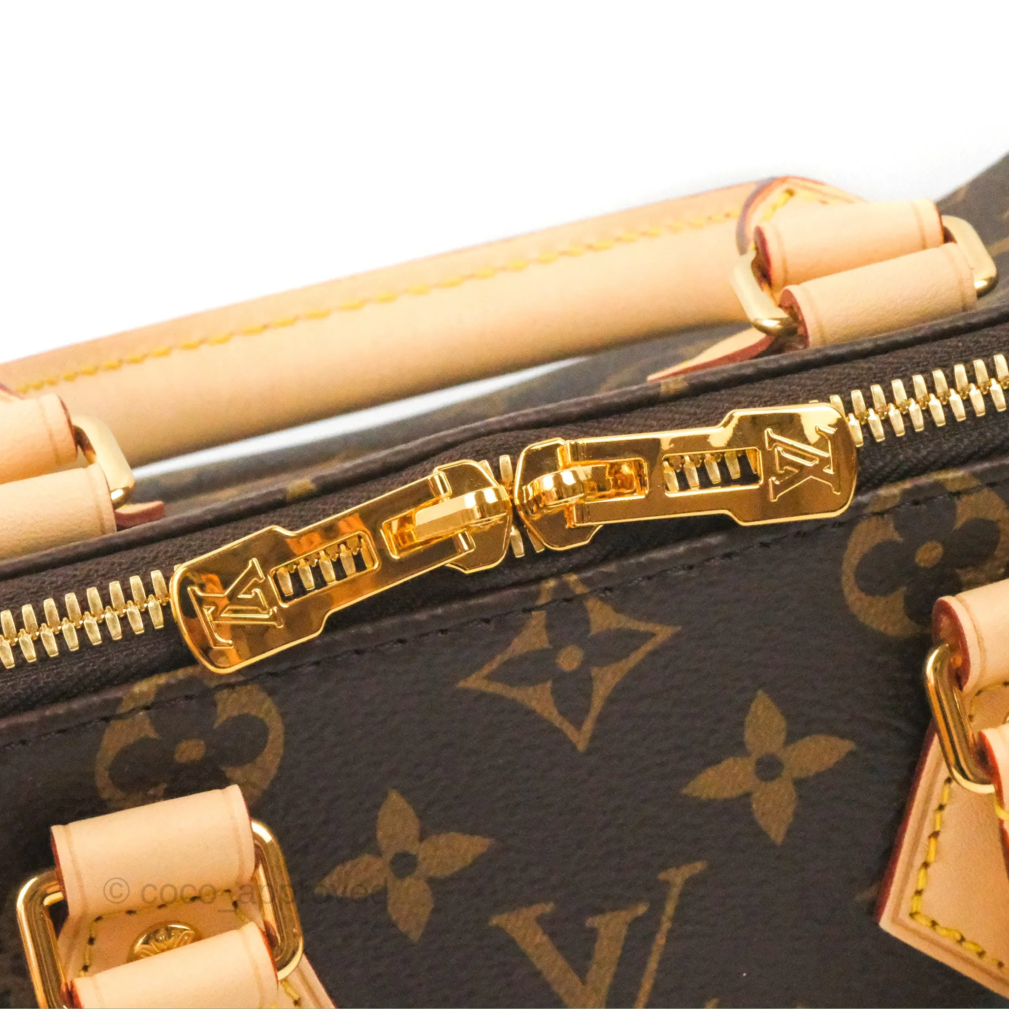 Louis Vuitton Speedy Bandoulire 20 Monogram