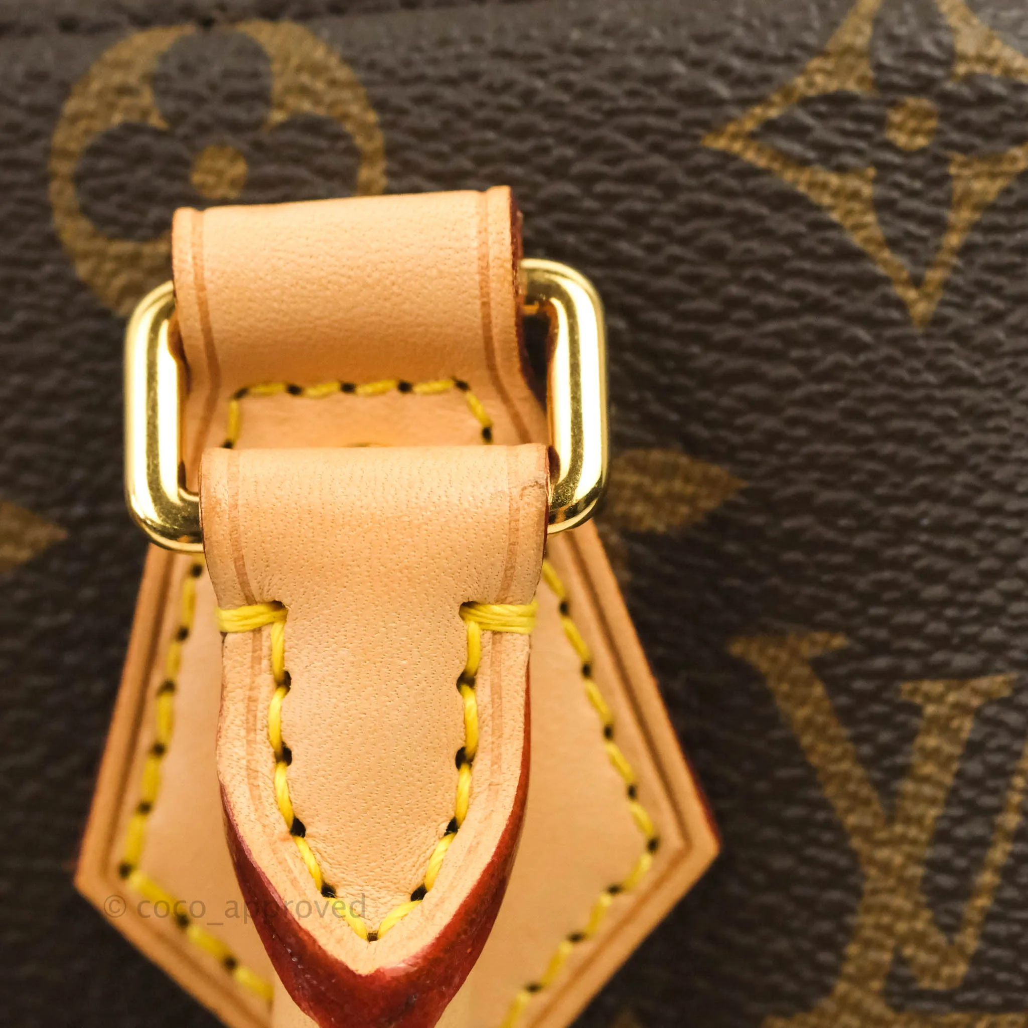 Louis Vuitton Speedy Bandoulire 20 Monogram