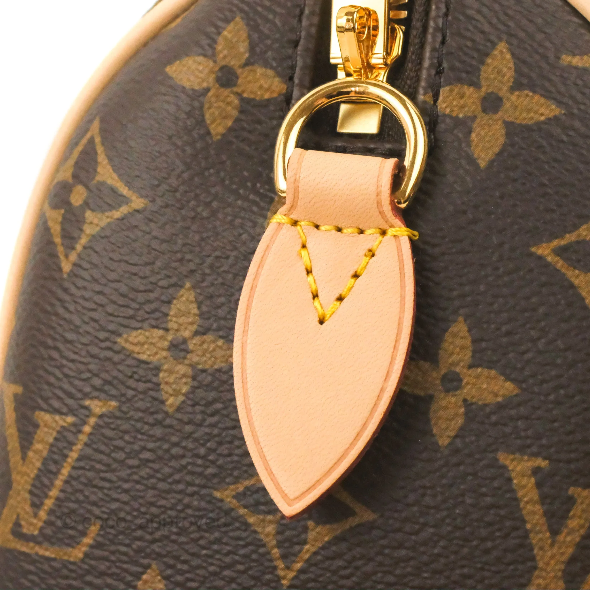 Louis Vuitton Speedy Bandoulire 20 Monogram