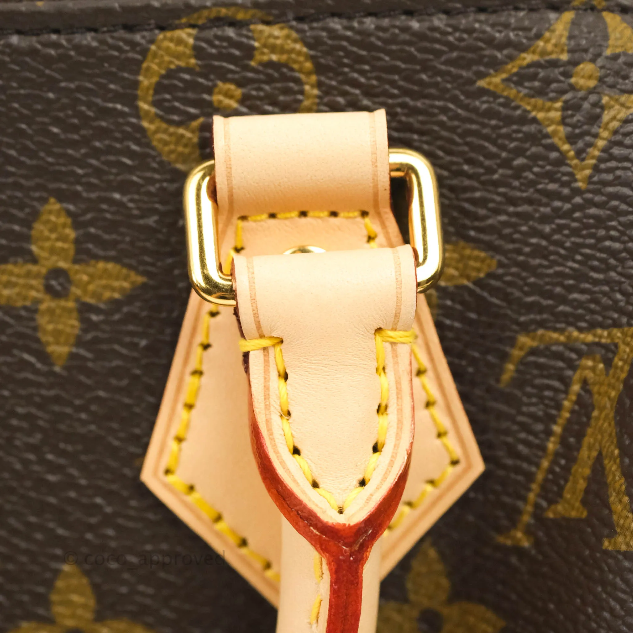 Louis Vuitton Speedy Bandoulire 20 Monogram