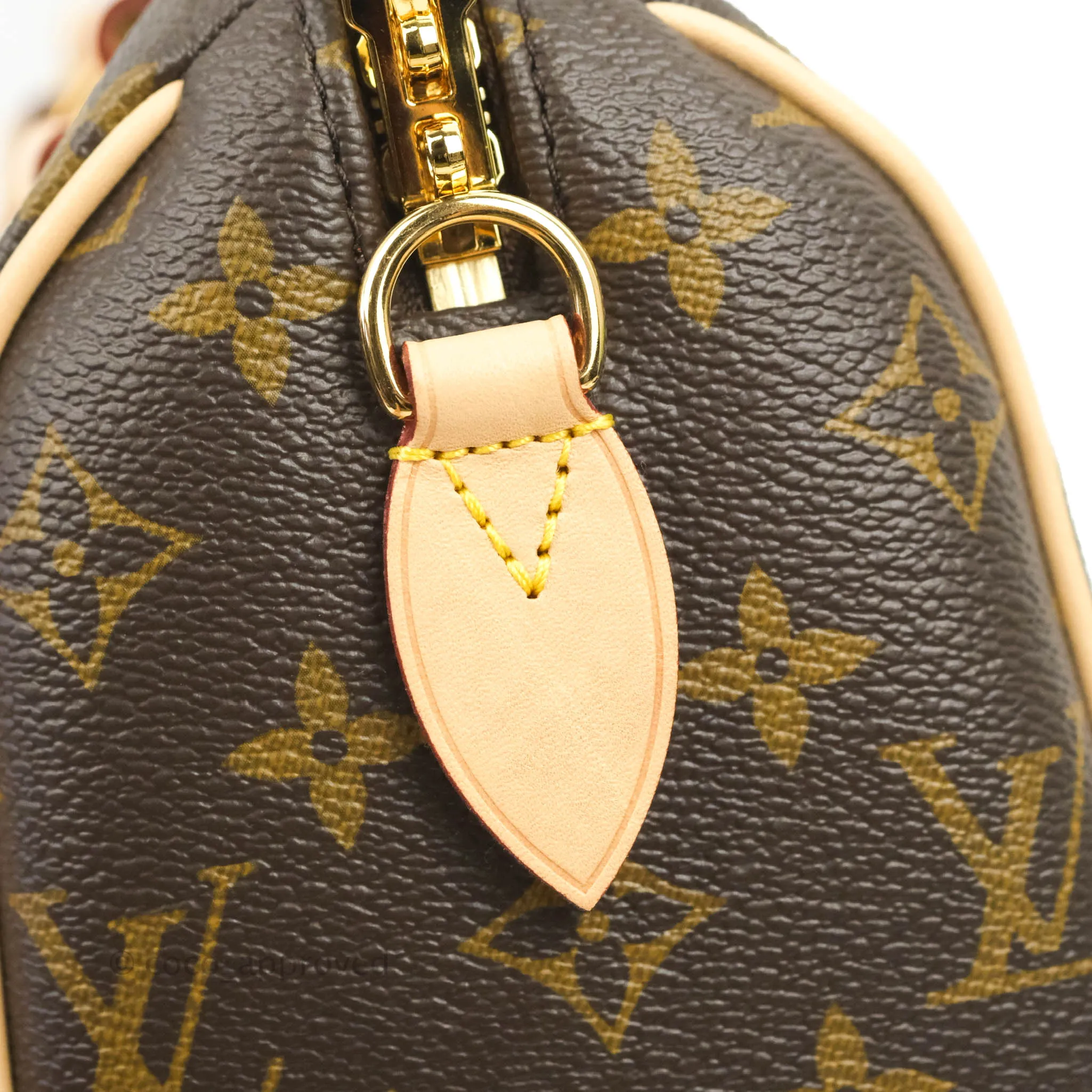 Louis Vuitton Speedy Bandoulire 20 Monogram