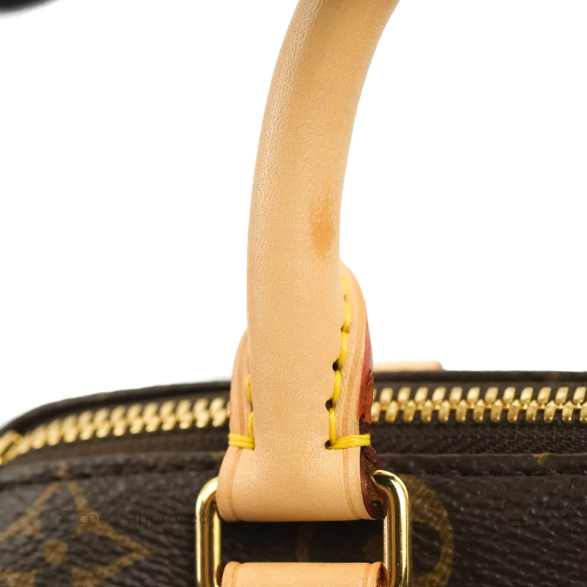 Louis Vuitton Speedy Bandoulire 20 Monogram