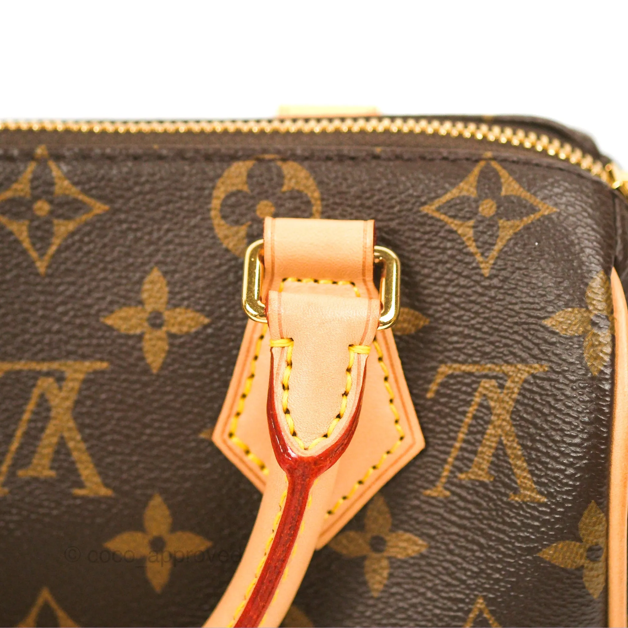 Louis Vuitton Speedy Bandoulire 20 Monogram