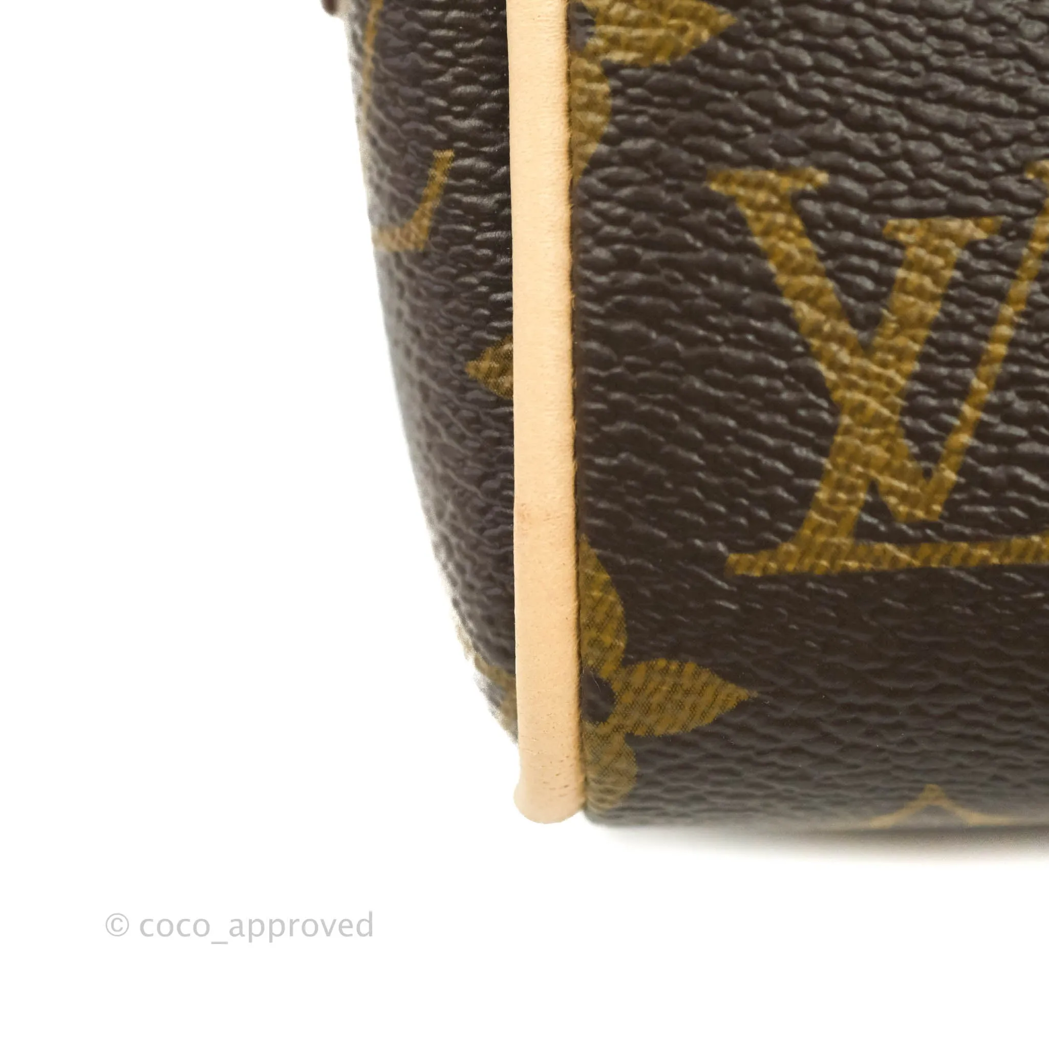 Louis Vuitton Speedy Bandoulire 20 Monogram
