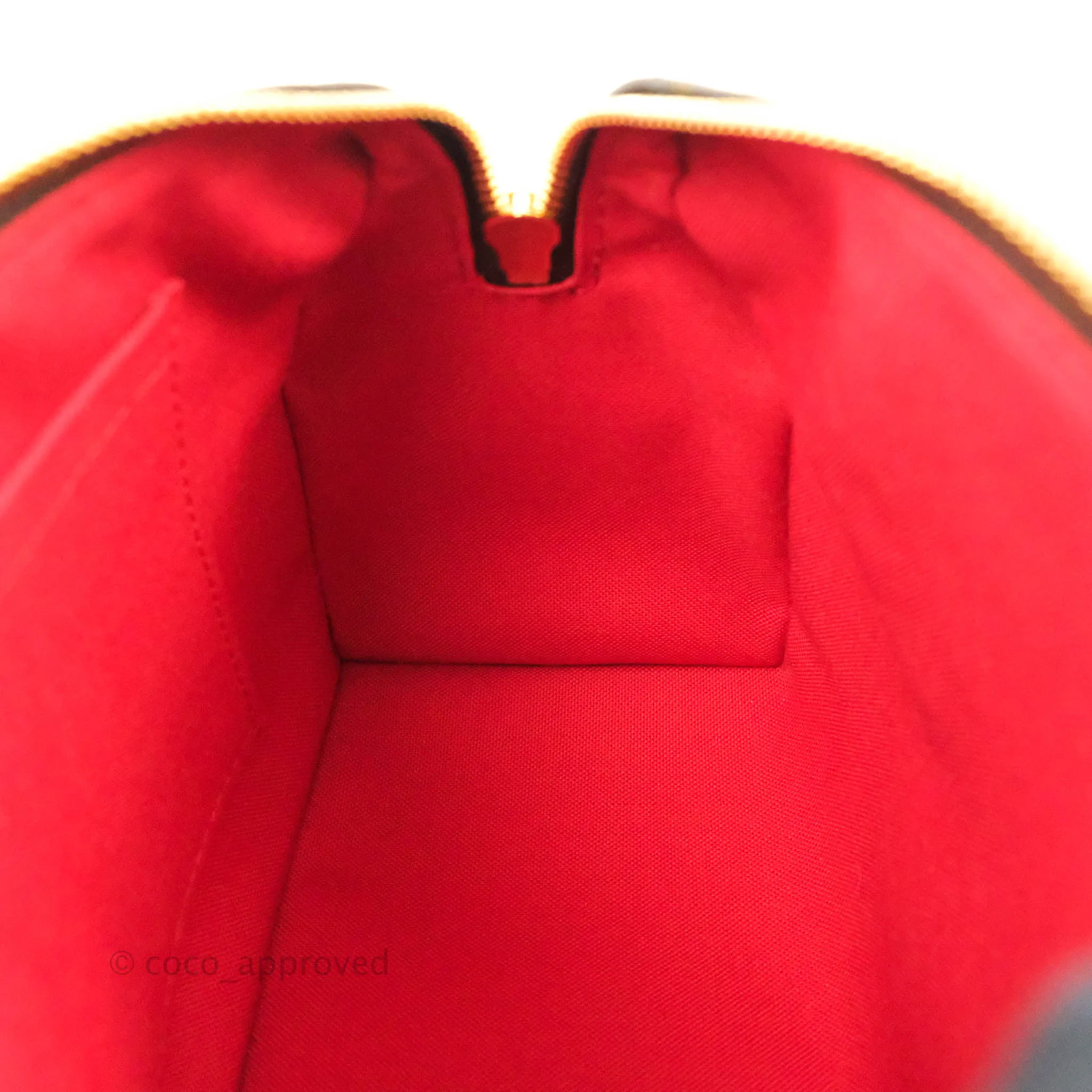 Louis Vuitton Speedy Bandoulire 20 Monogram