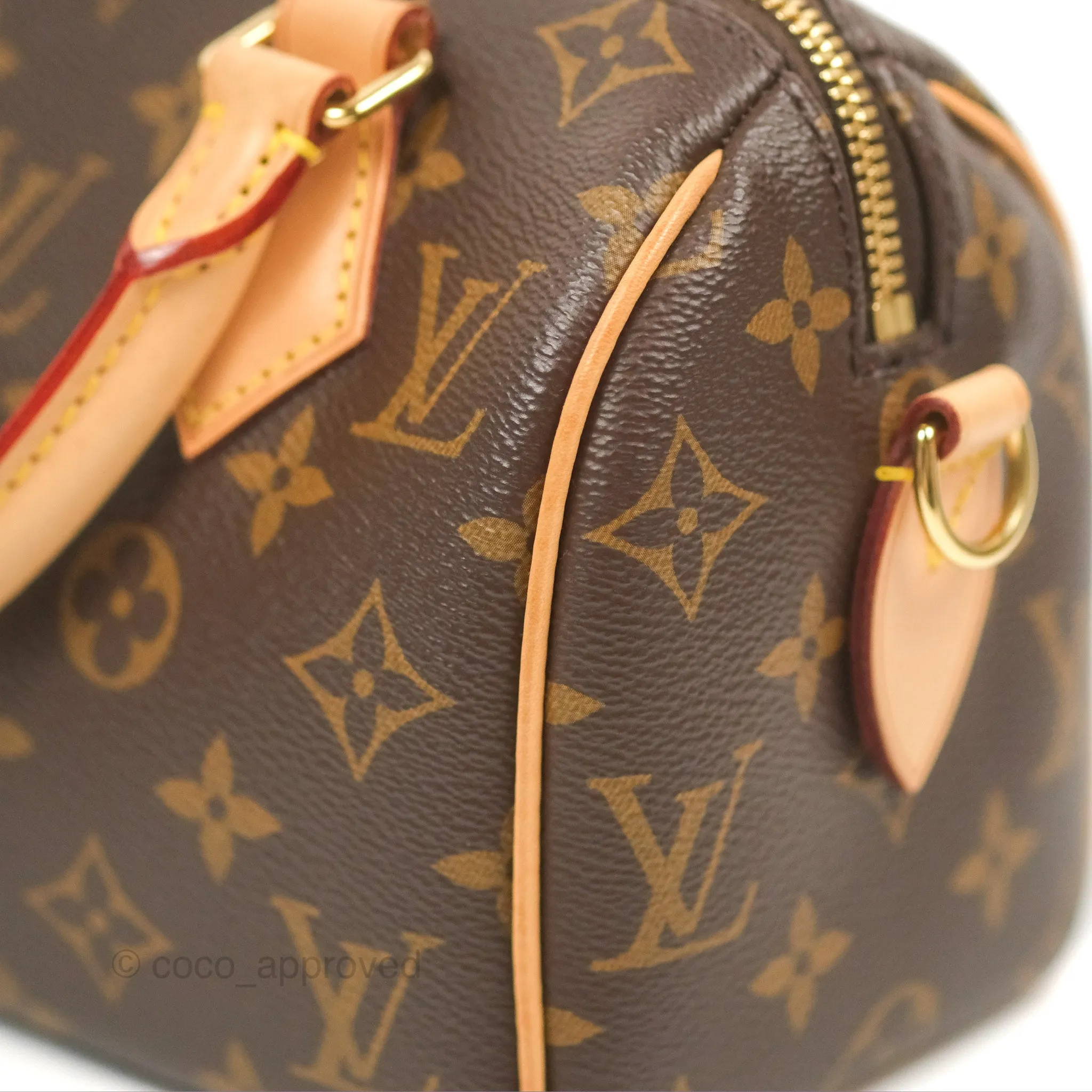 Louis Vuitton Speedy Bandoulire 20 Monogram