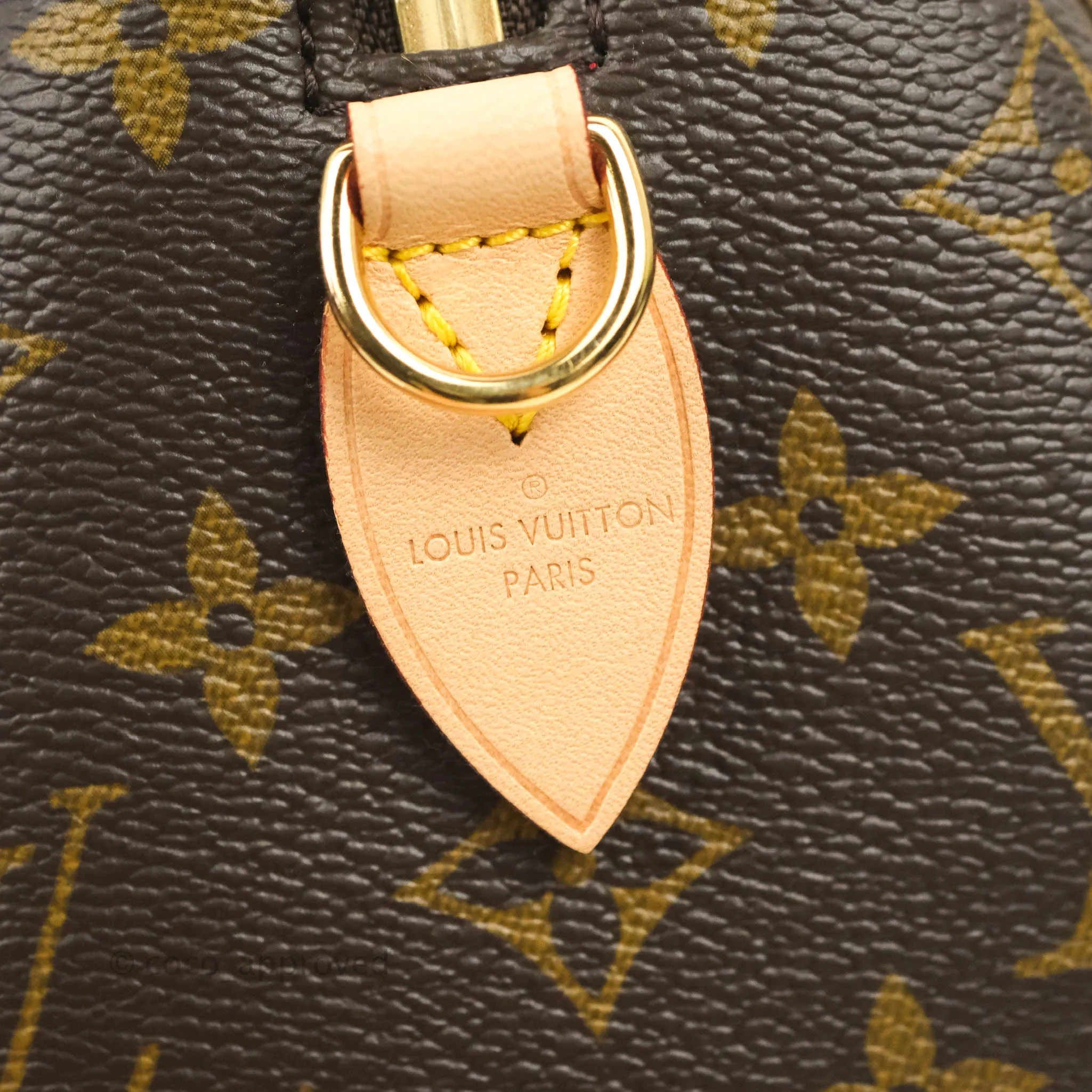 Louis Vuitton Speedy Bandoulire 20 Monogram