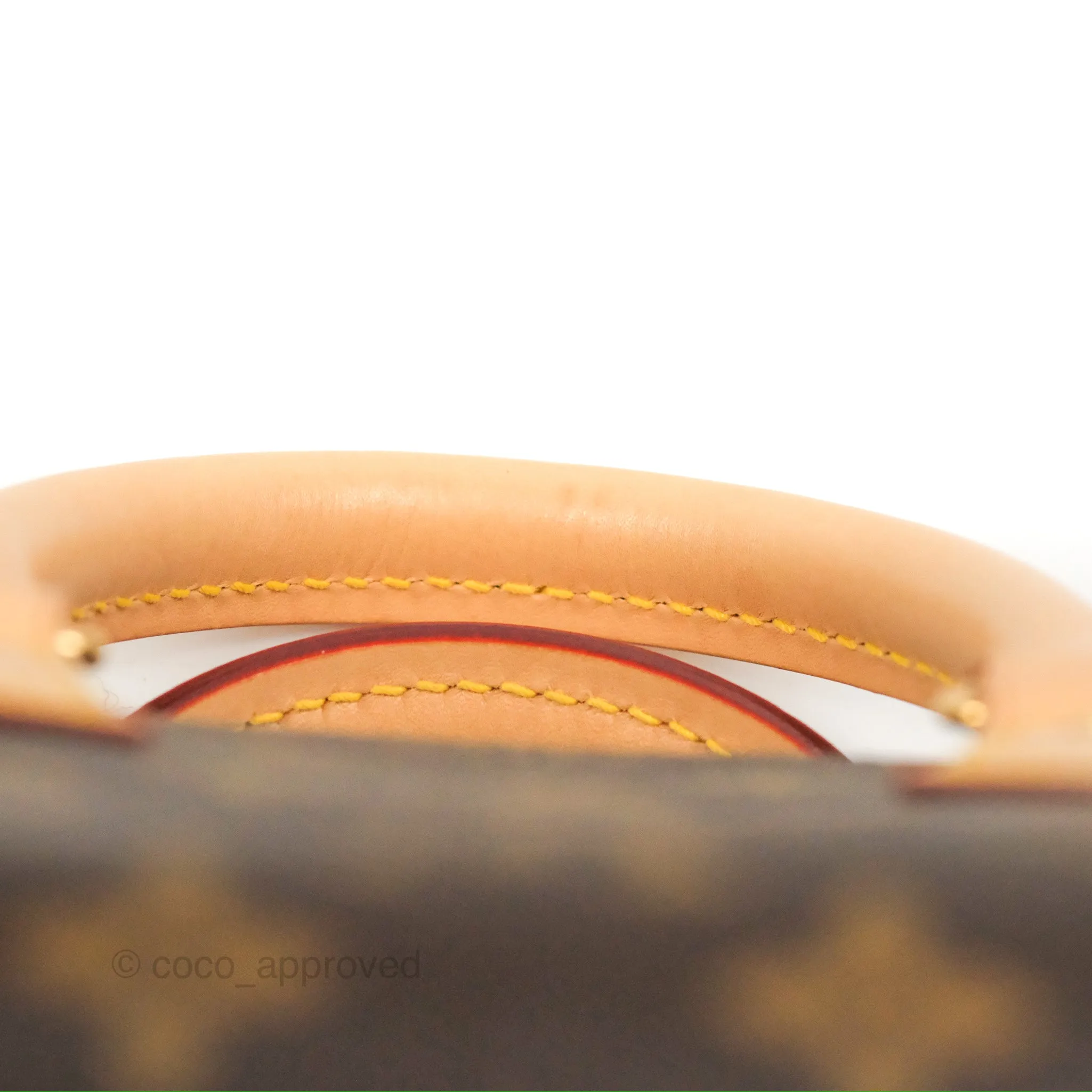 Louis Vuitton Speedy Bandoulire 20 Monogram