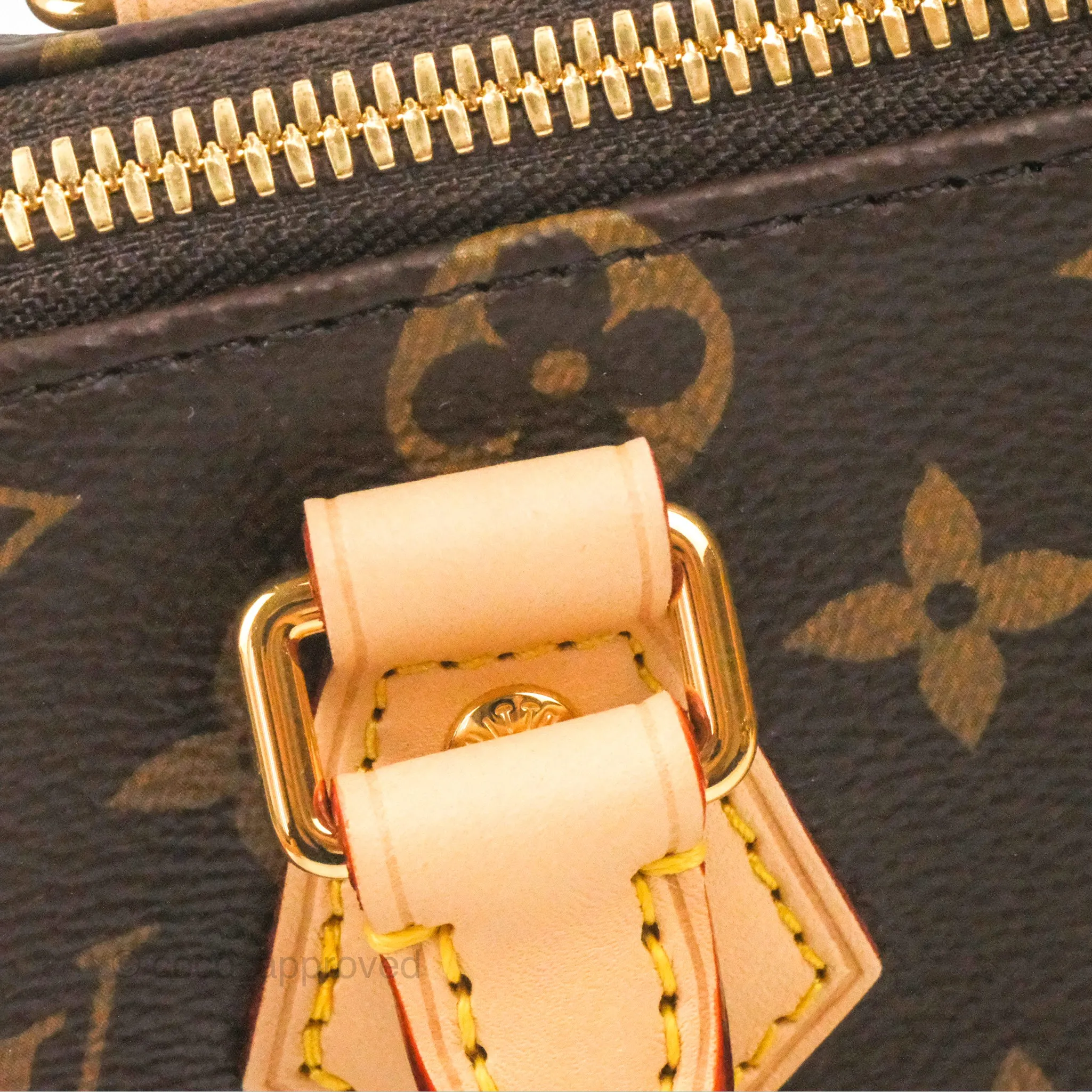 Louis Vuitton Speedy Bandoulire 20 Monogram