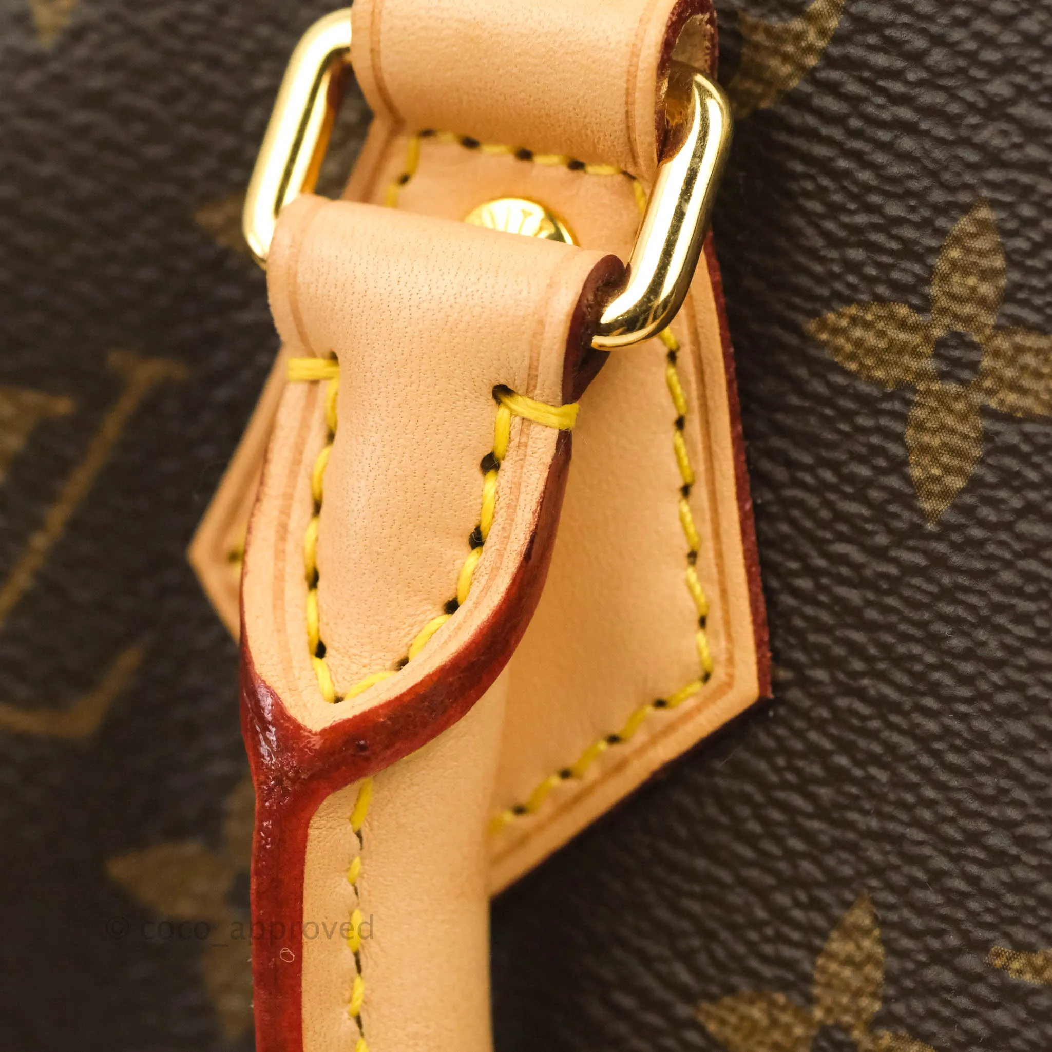 Louis Vuitton Speedy Bandoulire 20 Monogram