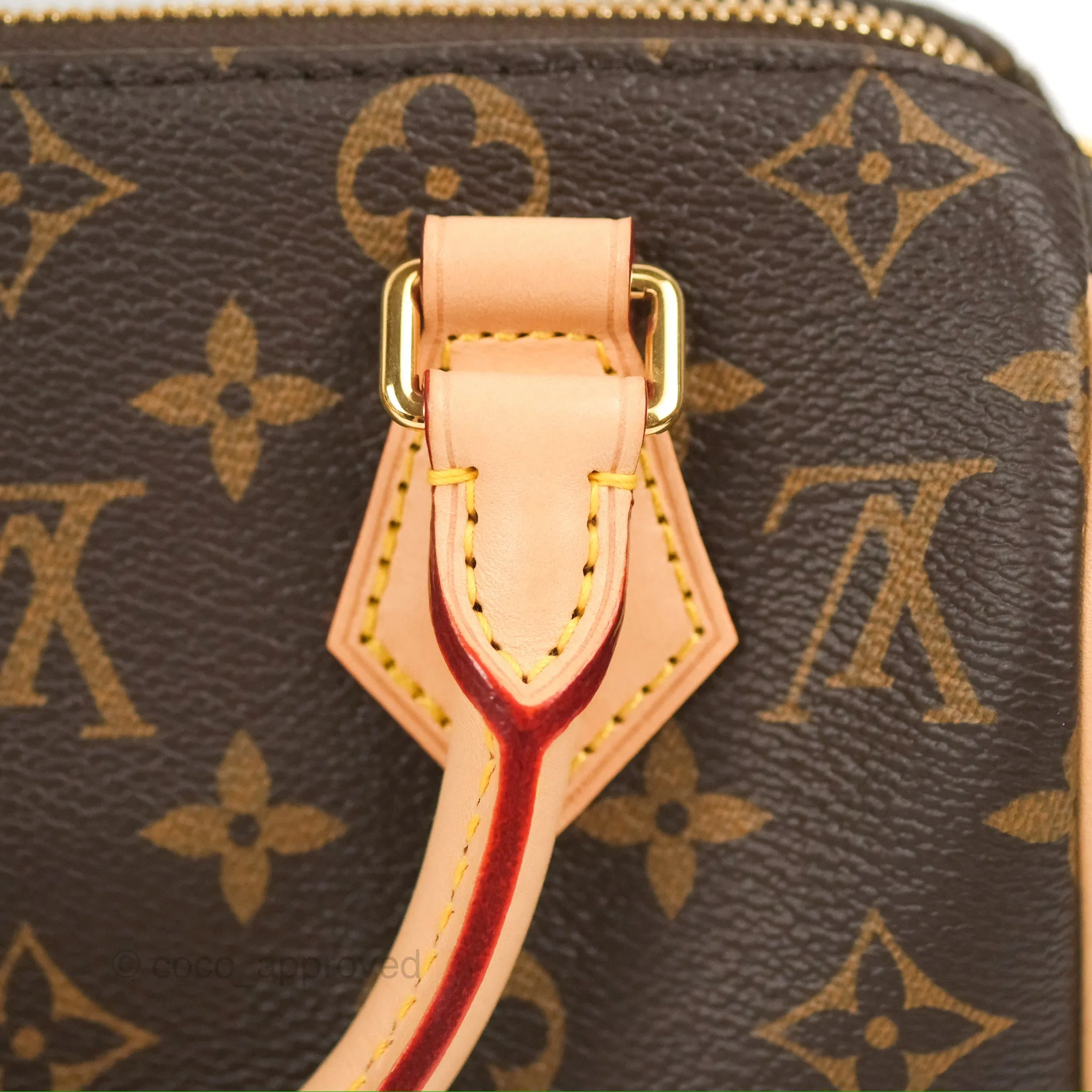 Louis Vuitton Speedy Bandoulire 20 Monogram