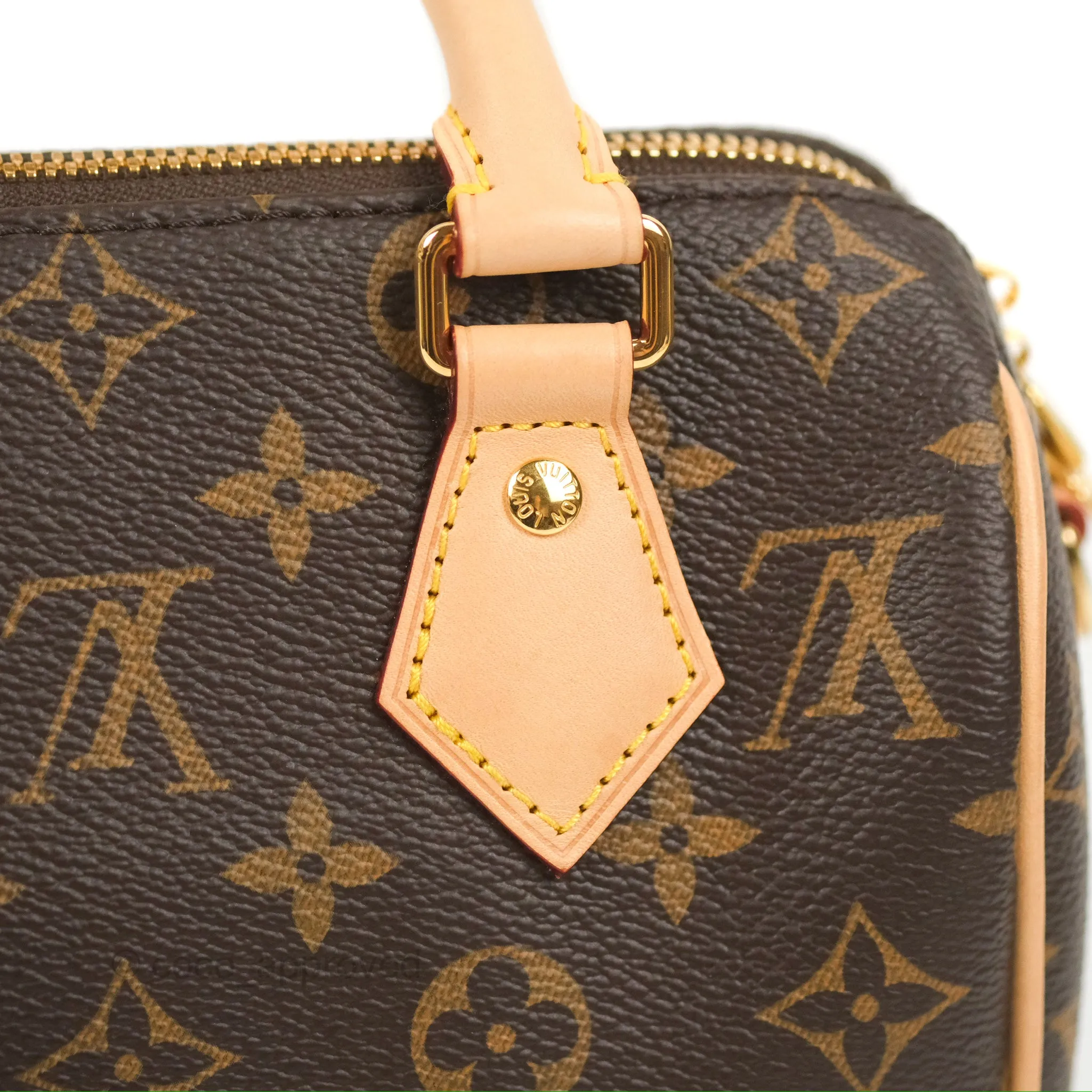 Louis Vuitton Speedy Bandoulire 20 Monogram