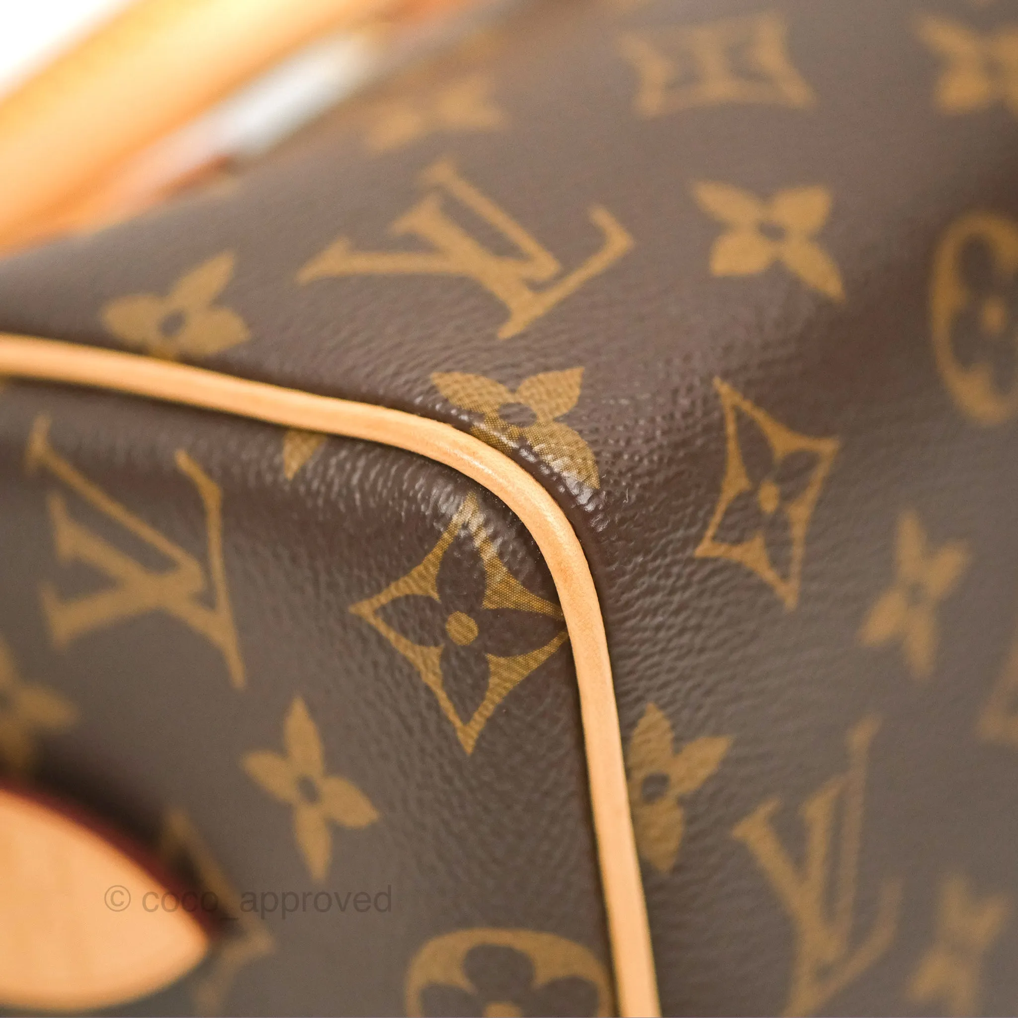 Louis Vuitton Speedy Bandoulire 20 Monogram