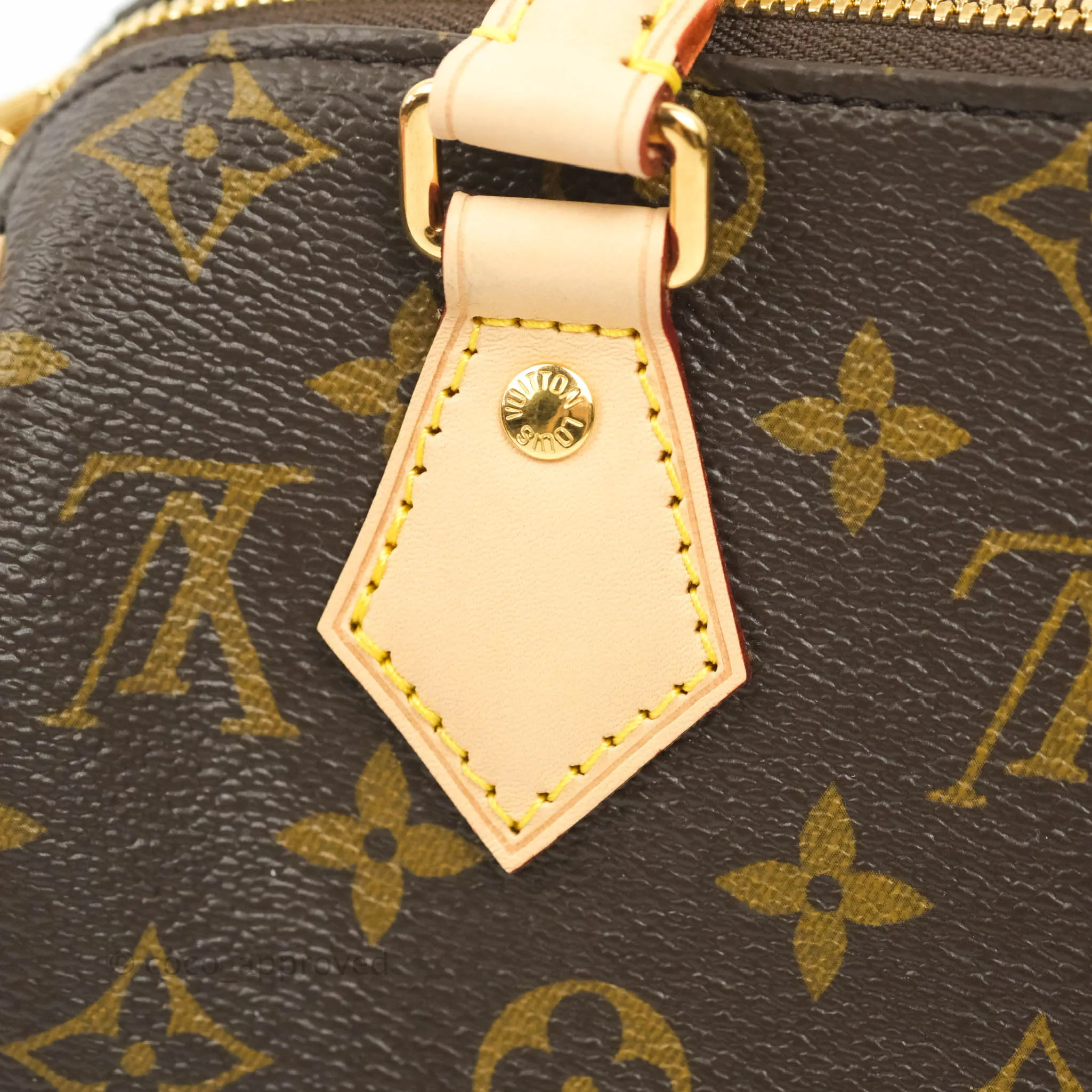 Louis Vuitton Speedy Bandoulire 20 Monogram