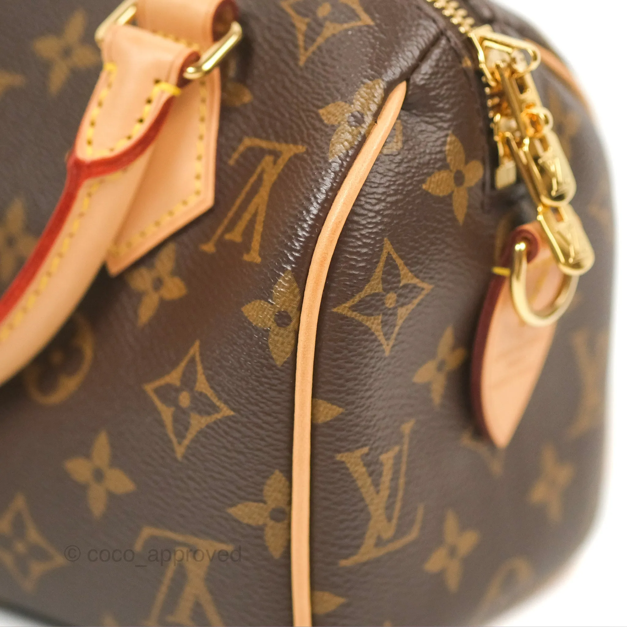 Louis Vuitton Speedy Bandoulire 20 Monogram