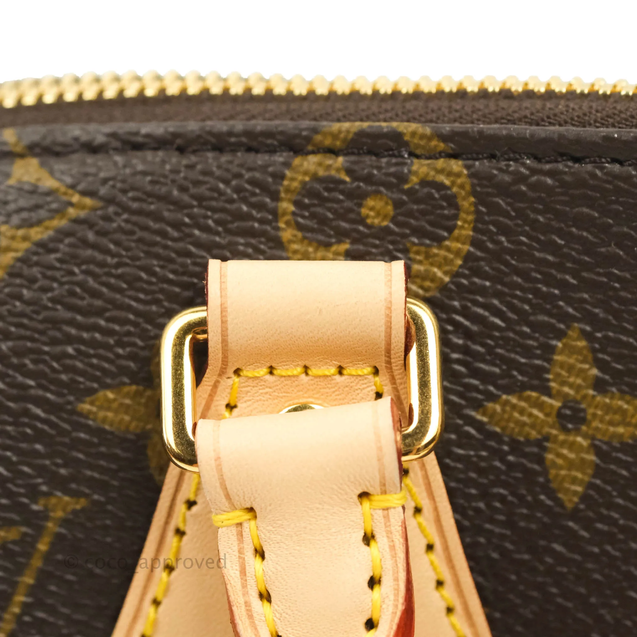 Louis Vuitton Speedy Bandoulire 20 Monogram