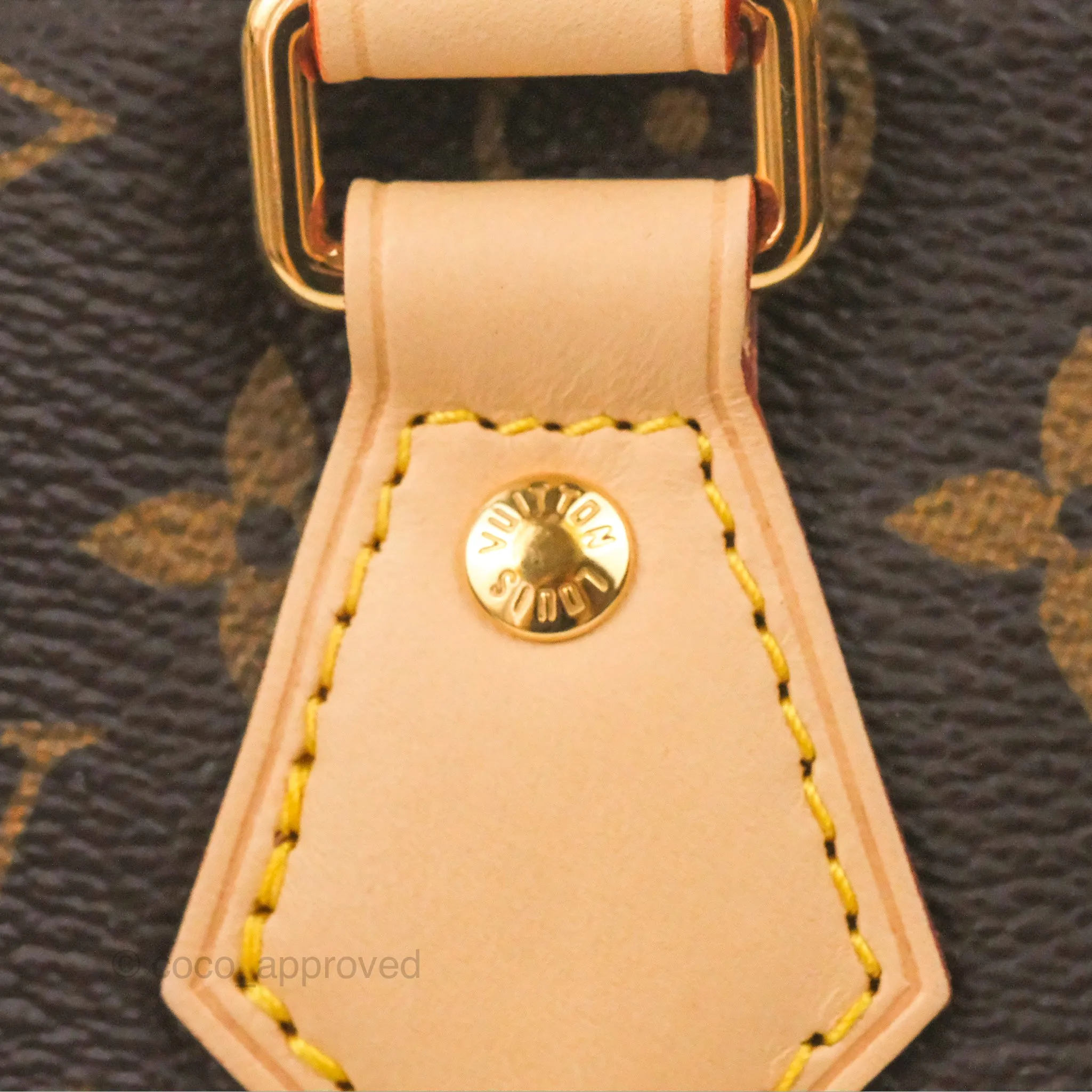 Louis Vuitton Speedy Bandoulire 20 Monogram
