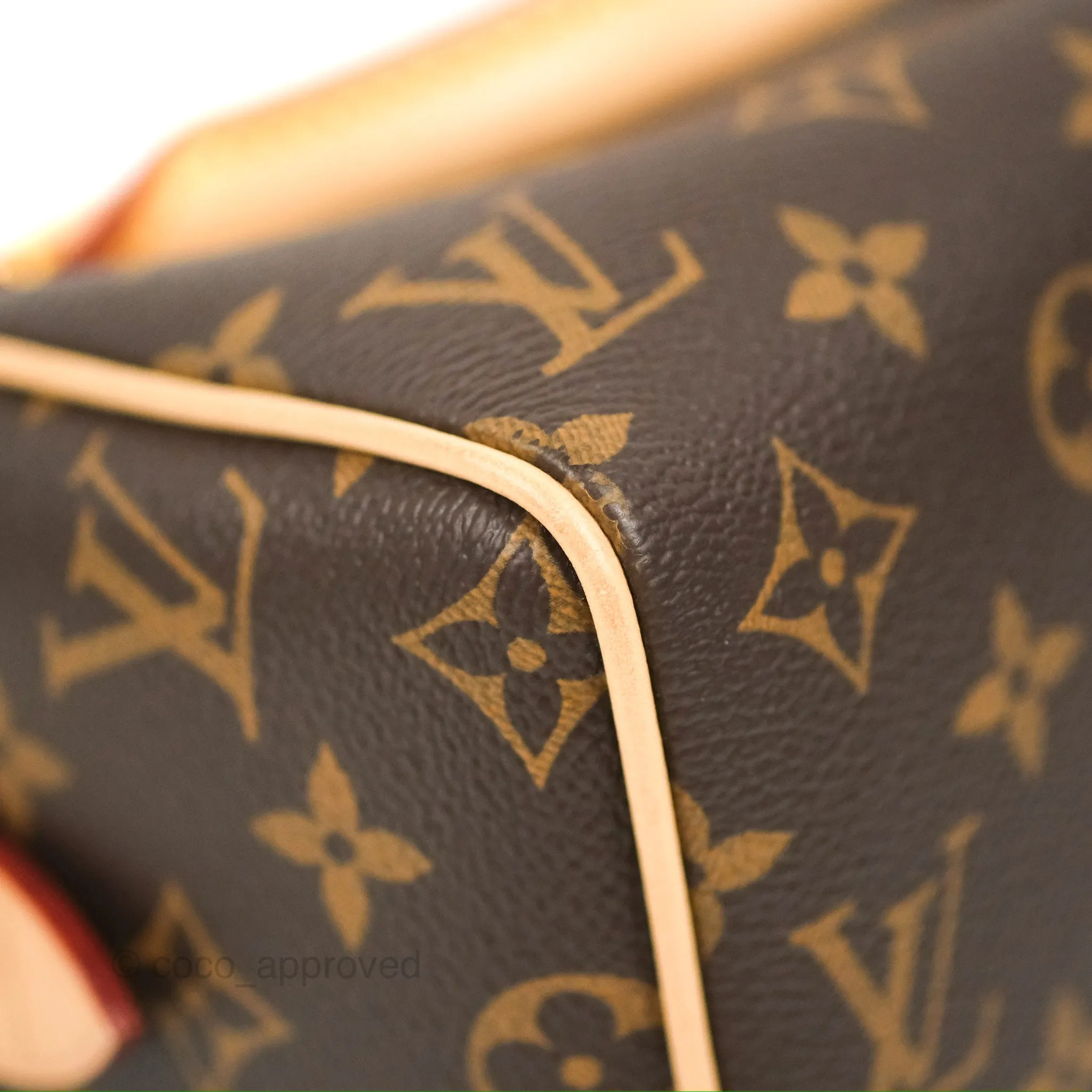 Louis Vuitton Speedy Bandoulire 20 Monogram