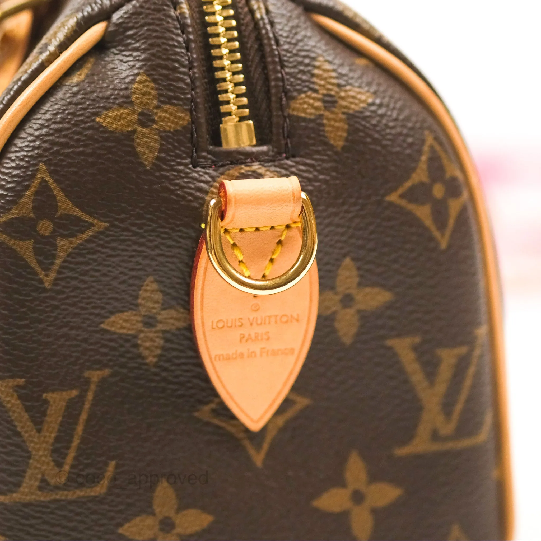 Louis Vuitton Speedy Bandoulire 20 Monogram