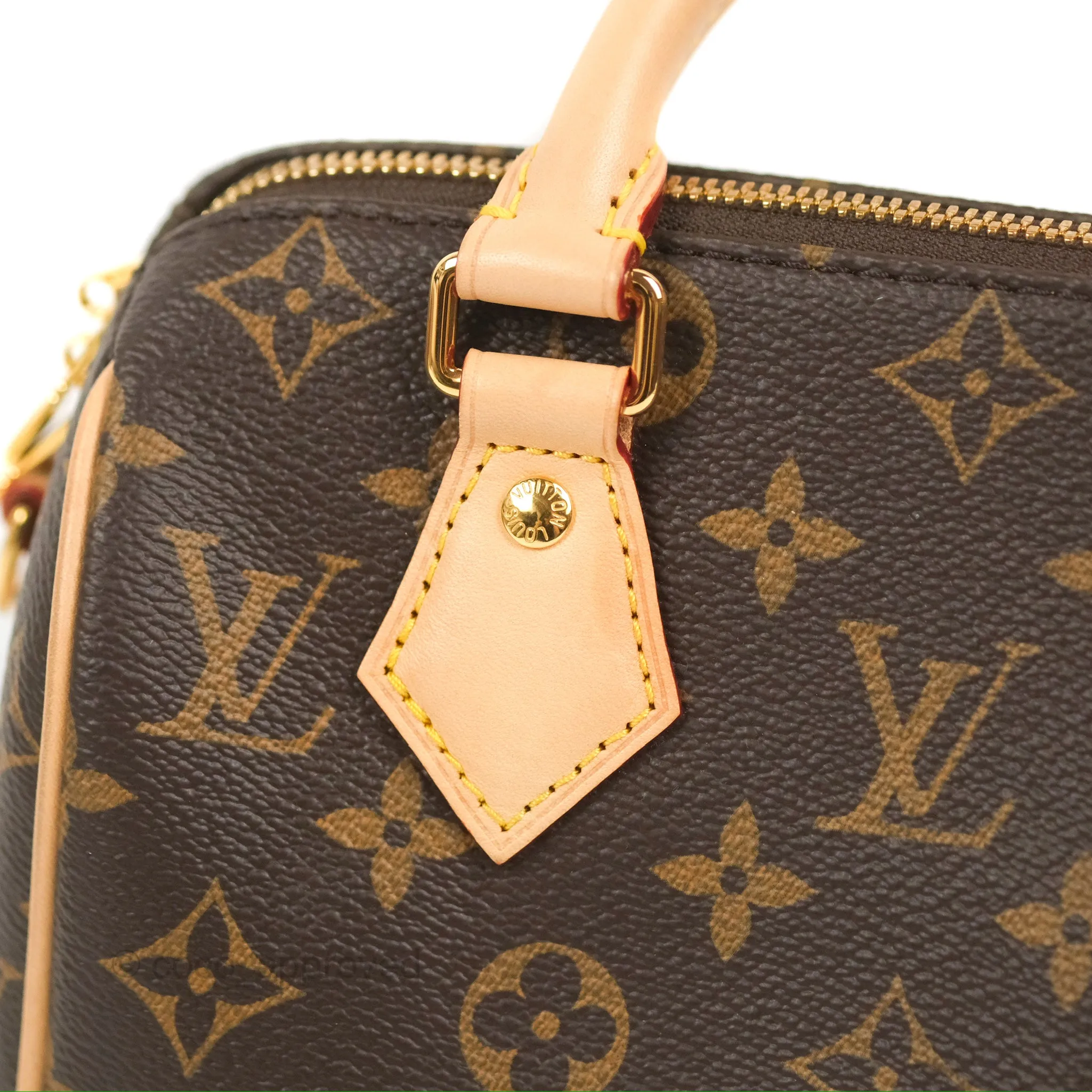 Louis Vuitton Speedy Bandoulire 20 Monogram