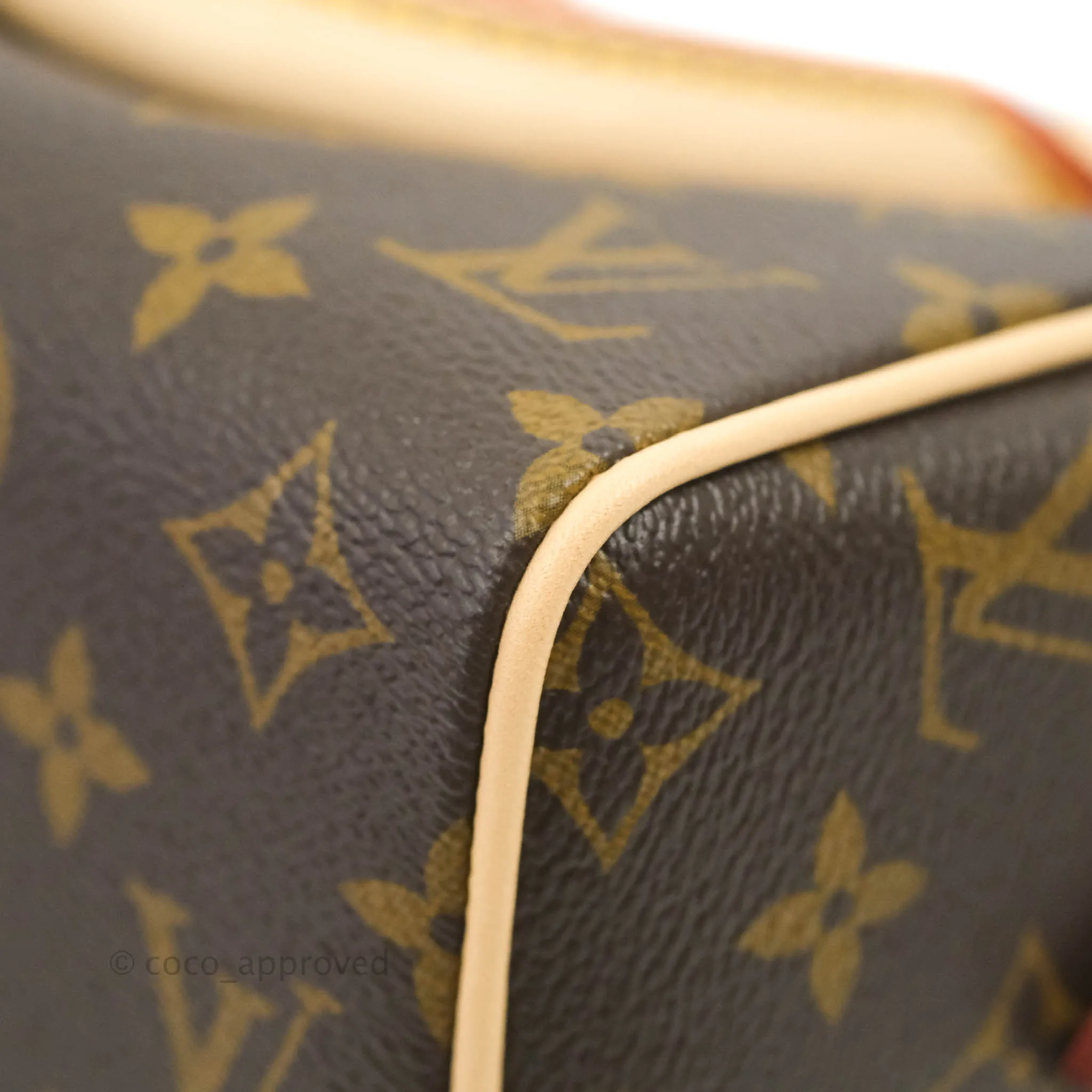 Louis Vuitton Speedy Bandoulire 20 Monogram