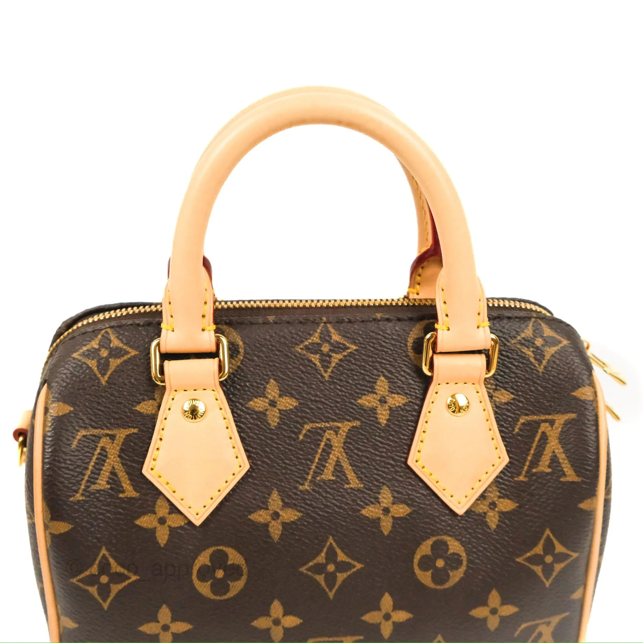 Louis Vuitton Speedy Bandoulire 20 Monogram
