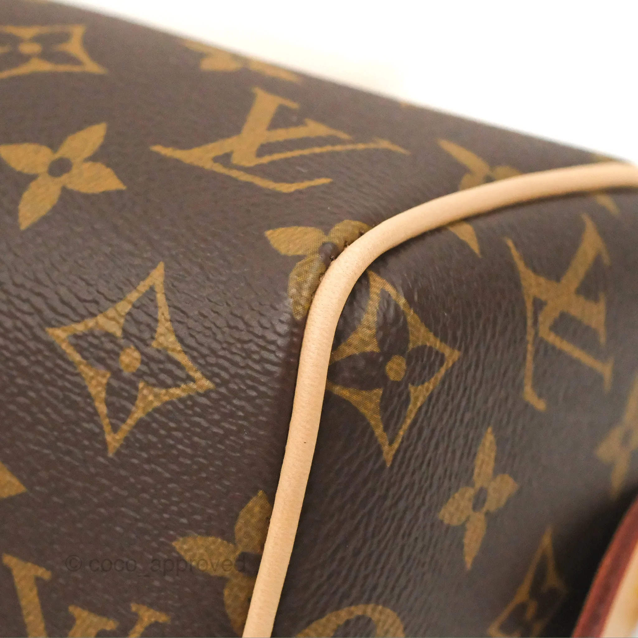 Louis Vuitton Speedy Bandoulire 20 Monogram