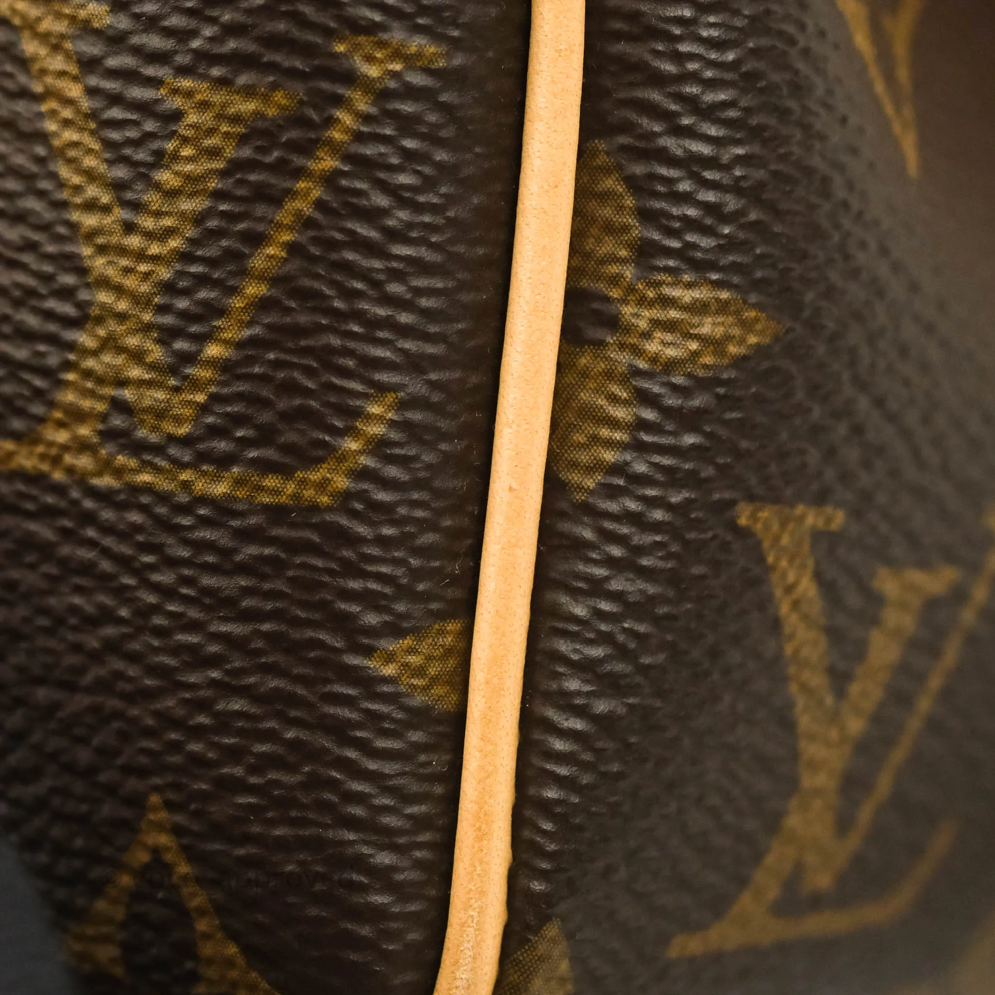 Louis Vuitton Speedy Bandoulire 20 Monogram